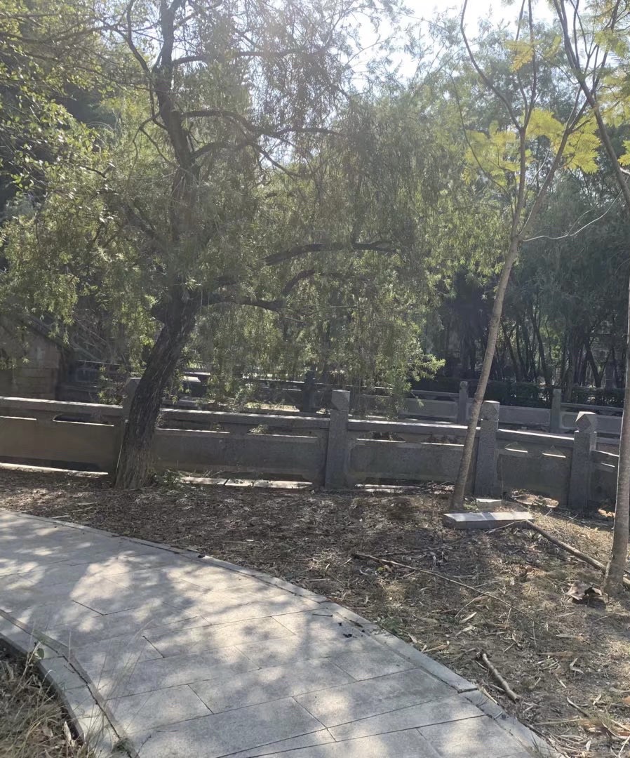 南门荔枝公园旅行图片 2
