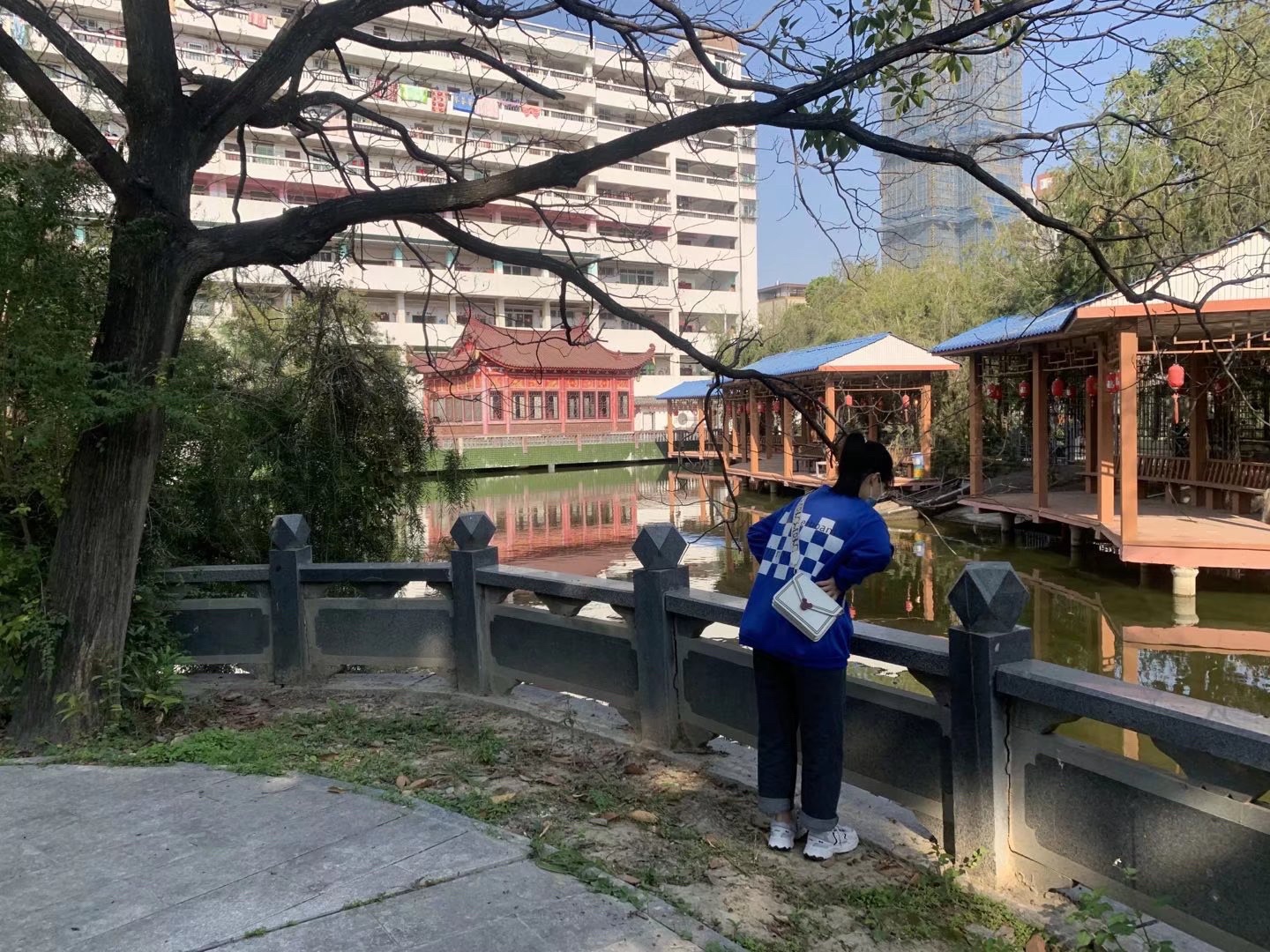 南门荔枝公园旅行图片 1