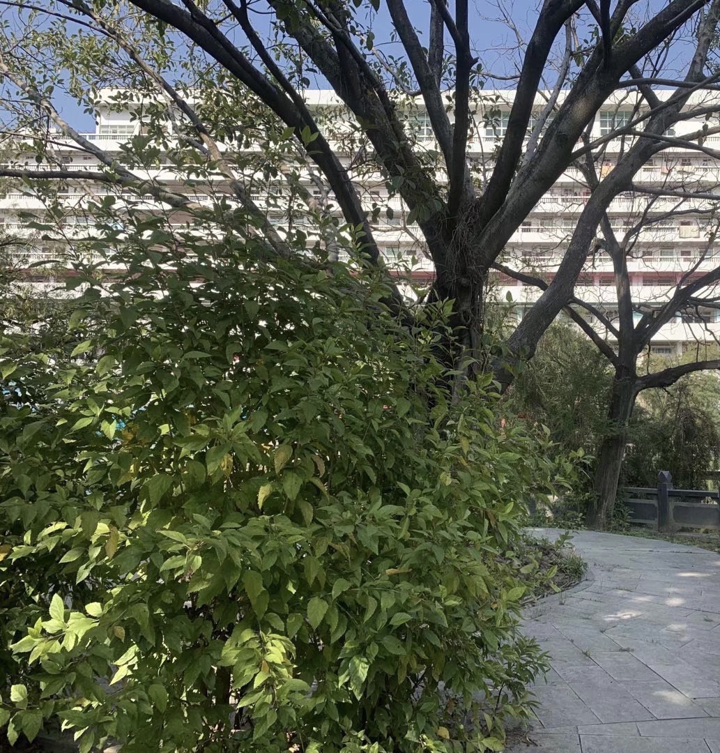 南门荔枝公园旅行图片 3