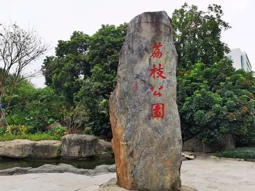 南门荔枝公园旅行图片 3