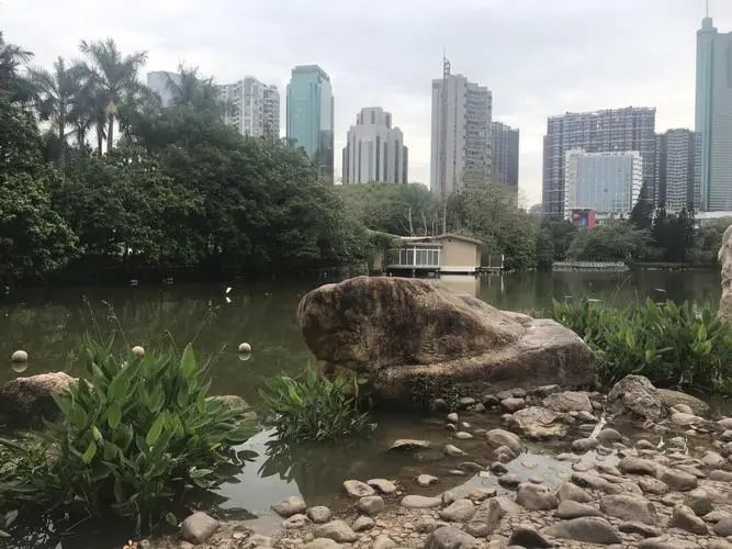 南门荔枝公园旅行图片 2