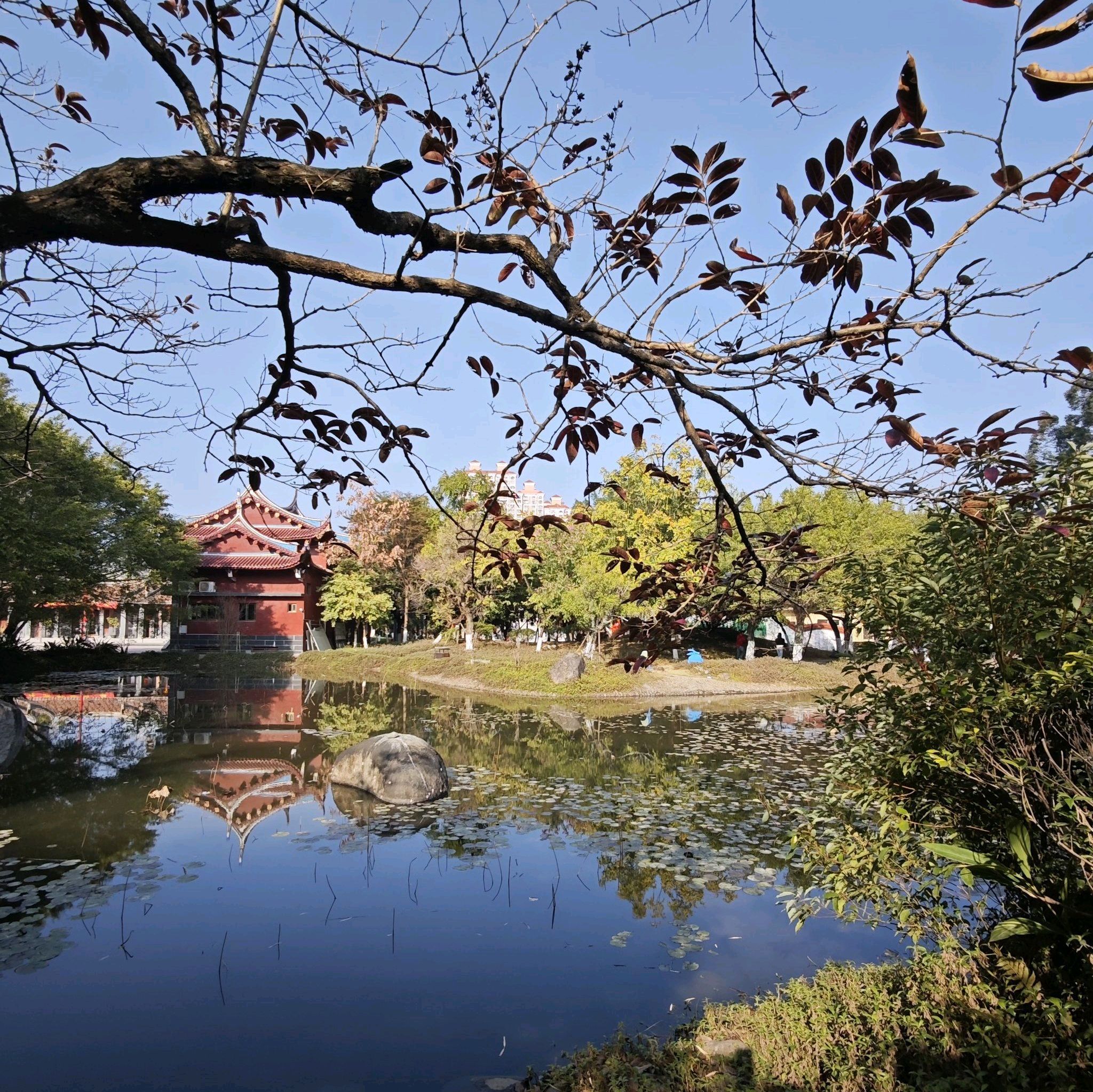 玉湖公园旅行图片 2