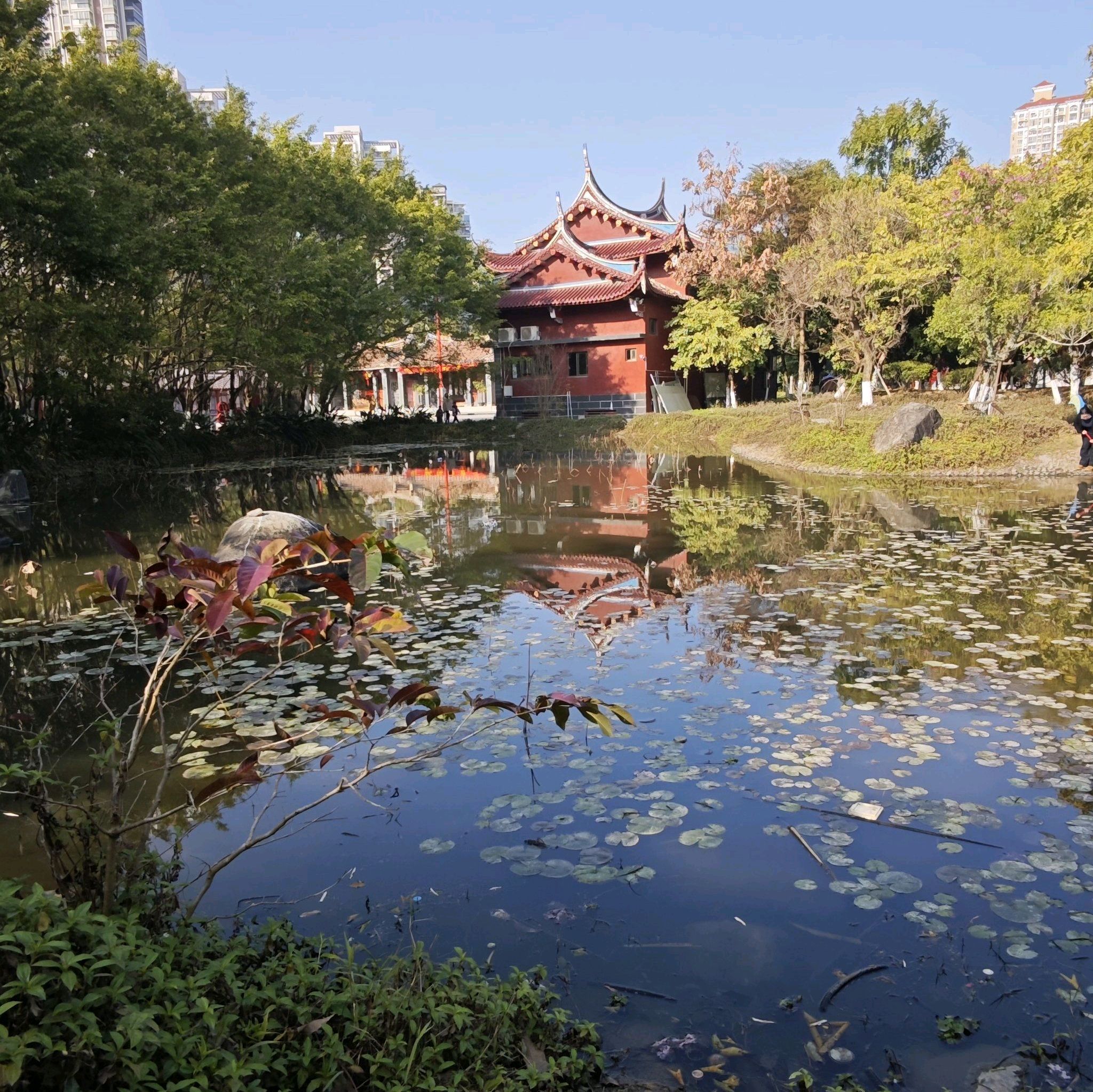 玉湖公园旅行图片 1