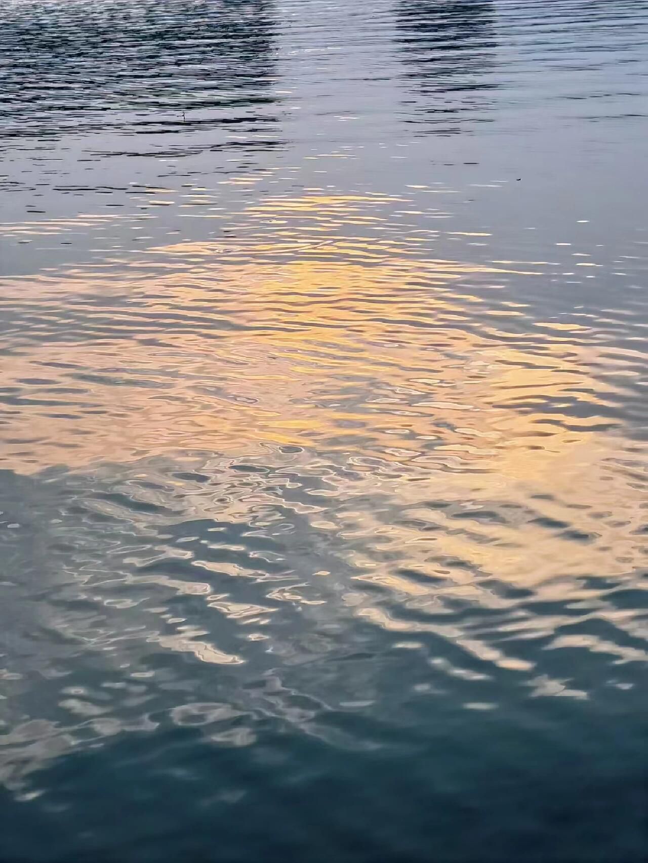白塘湖公园旅行图片 2