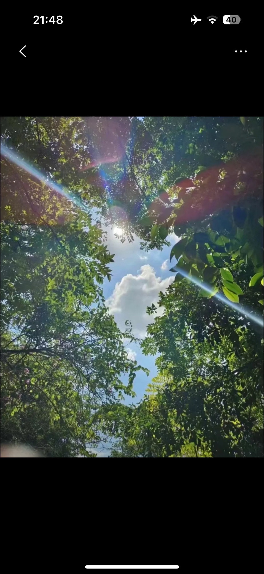白塘湖公园旅行图片 3
