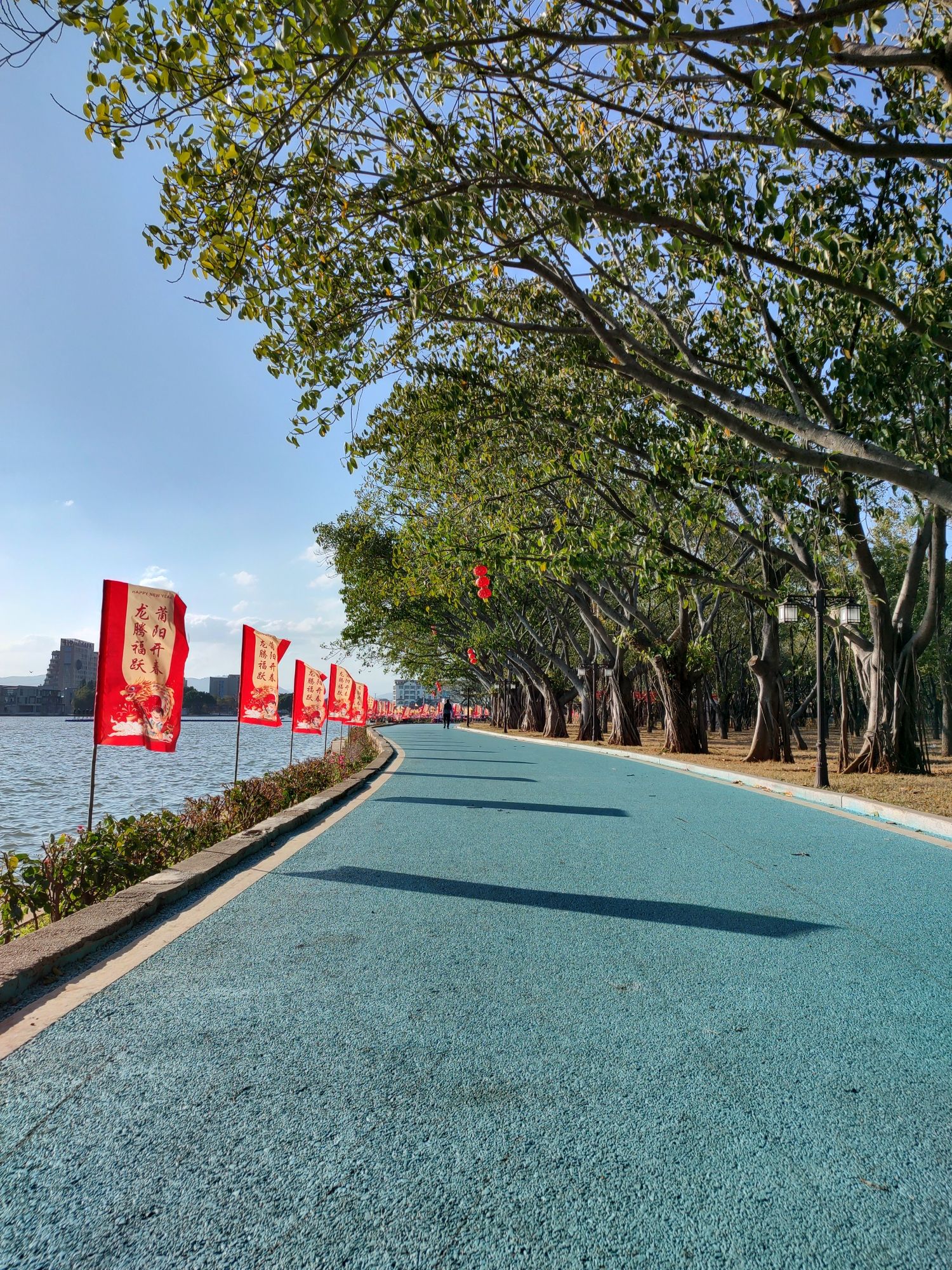 白塘湖公园旅行图片 1