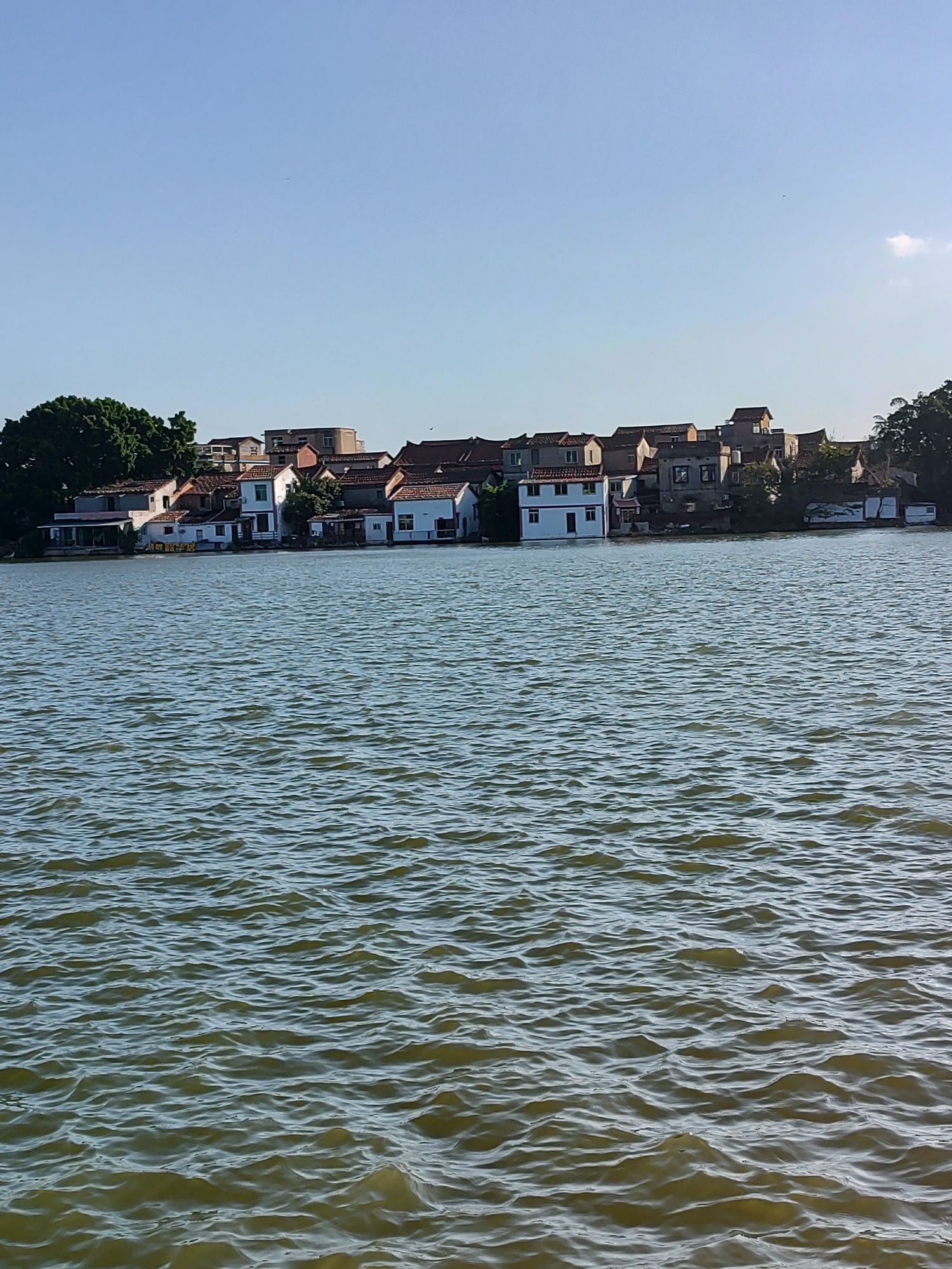 白塘湖公园旅行图片 3