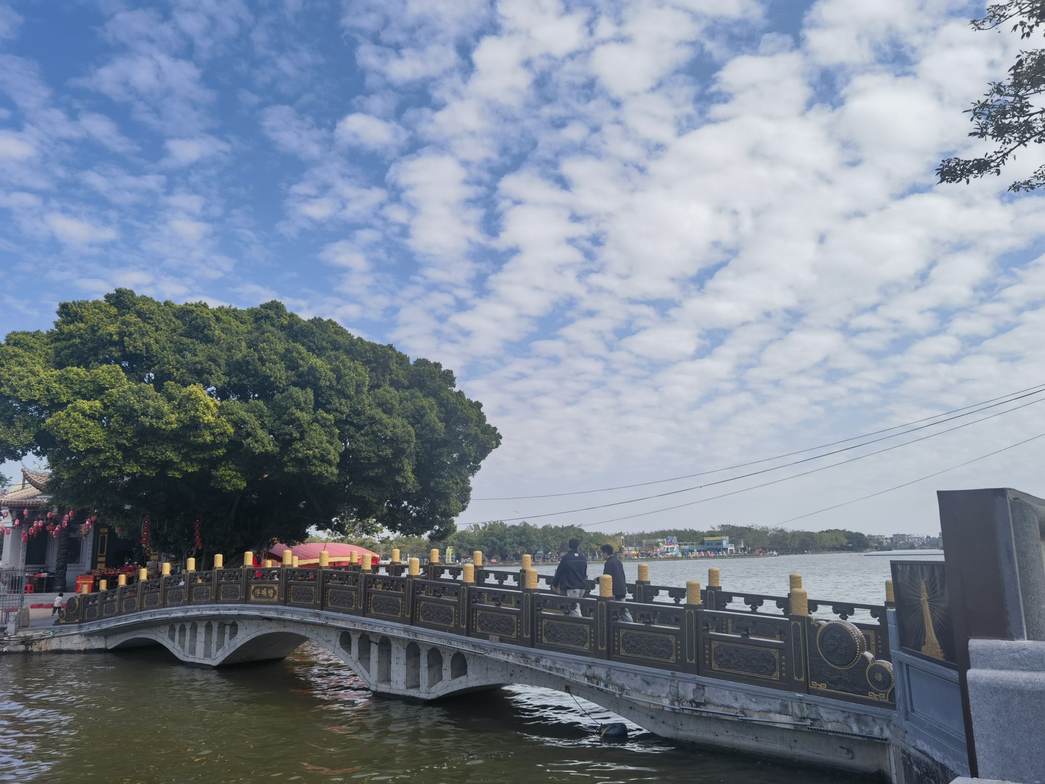 白塘湖公园旅行图片 1