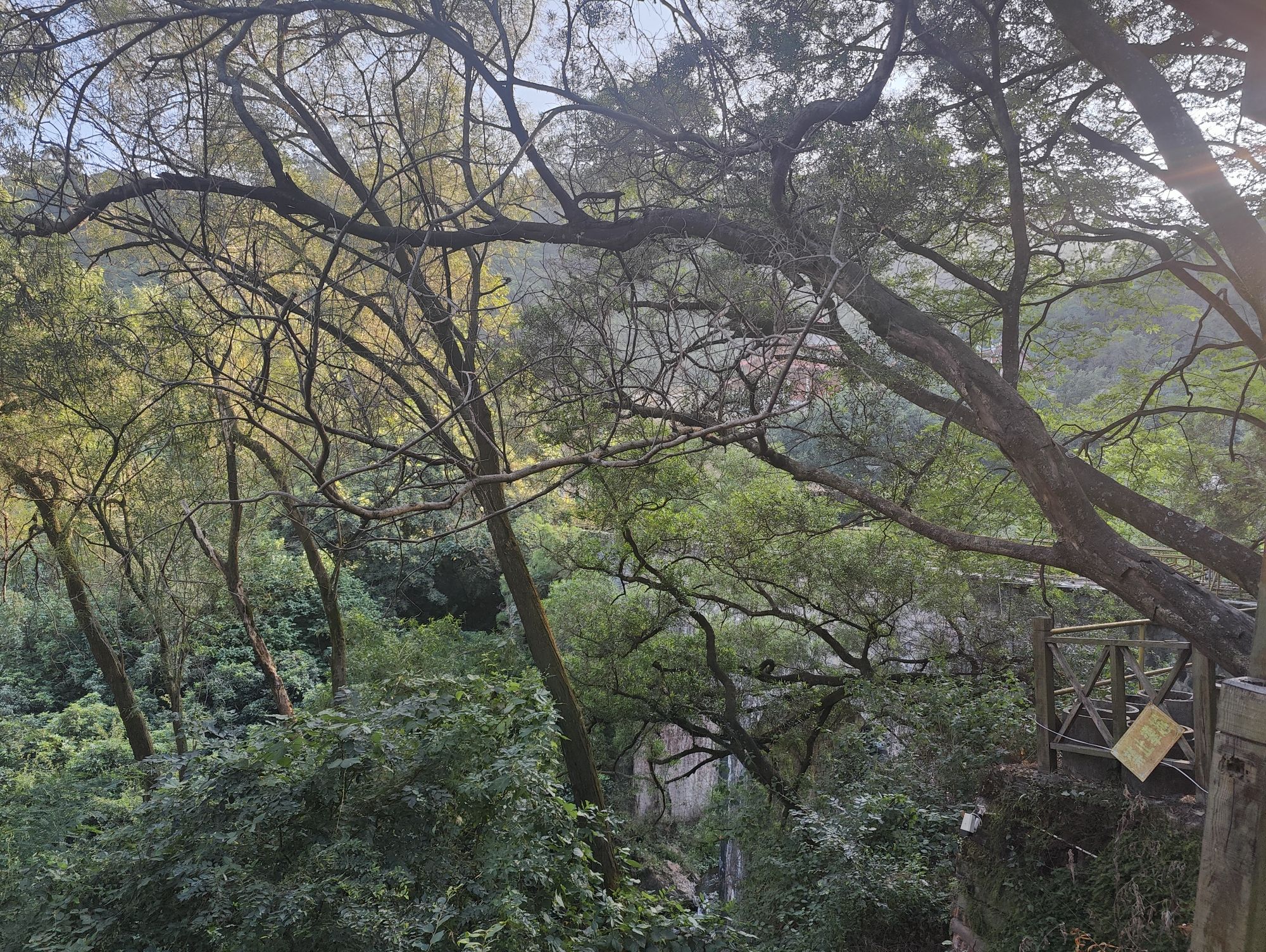 钟潭风景区旅行图片 3