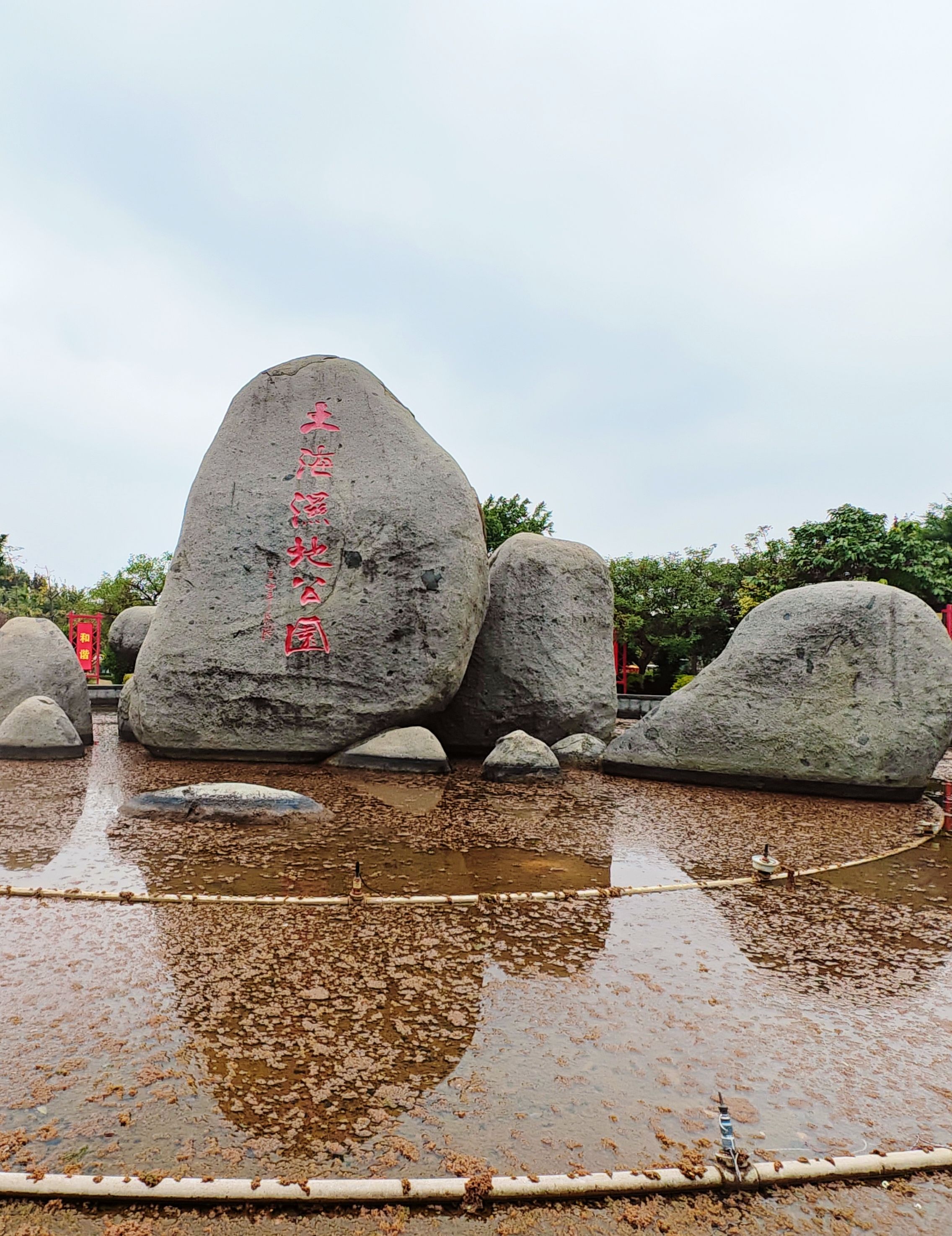 土海湿地公园旅行图片 1