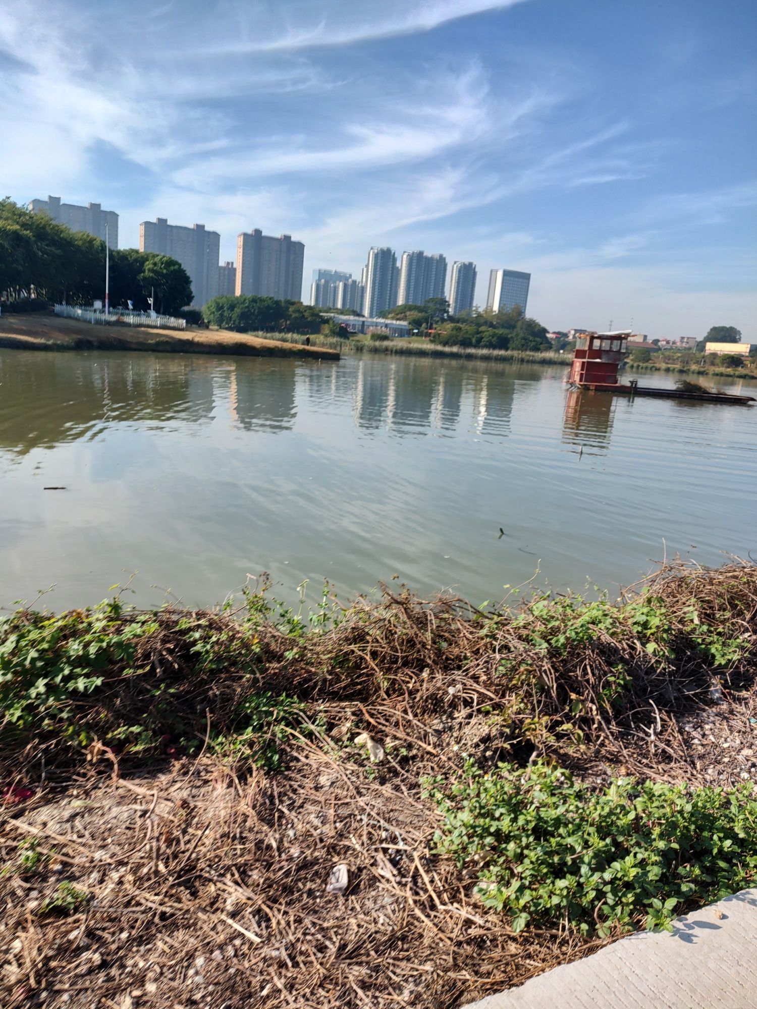 土海湿地公园旅行图片 1