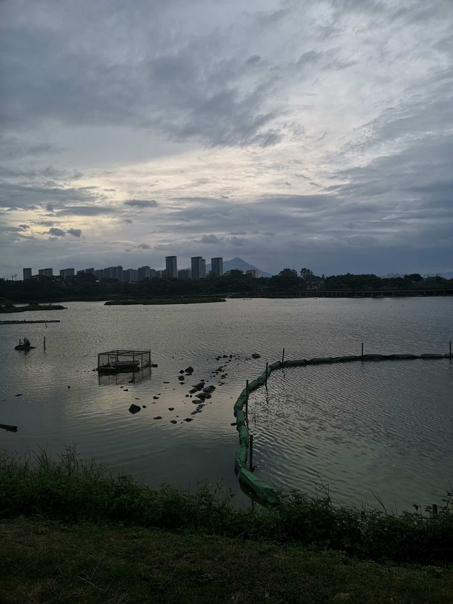 土海湿地公园旅行图片 1