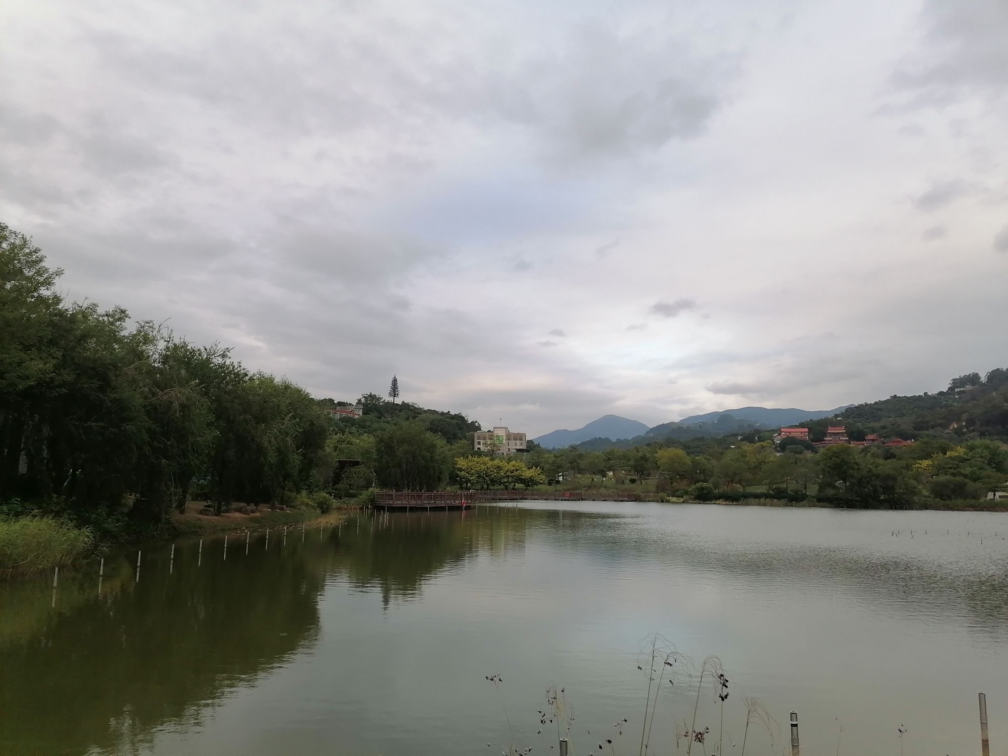 南湖公园旅行图片 2