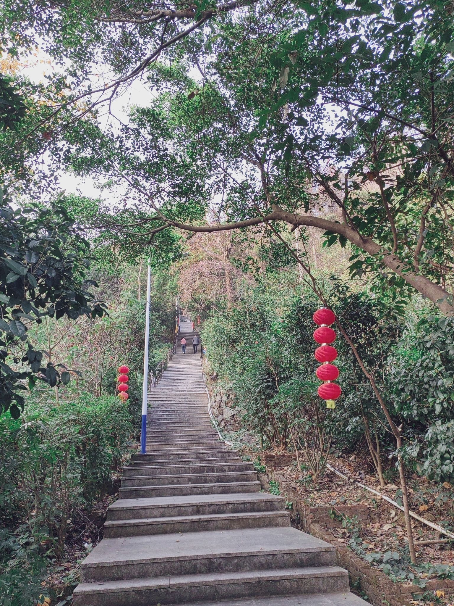 紫霄山旅行图片 3