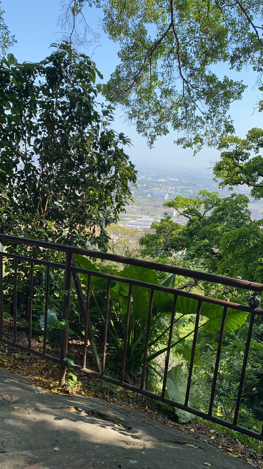 紫霄山旅行图片 1