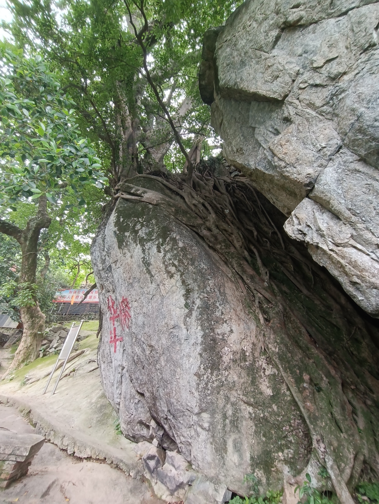 紫霄山旅行图片 3