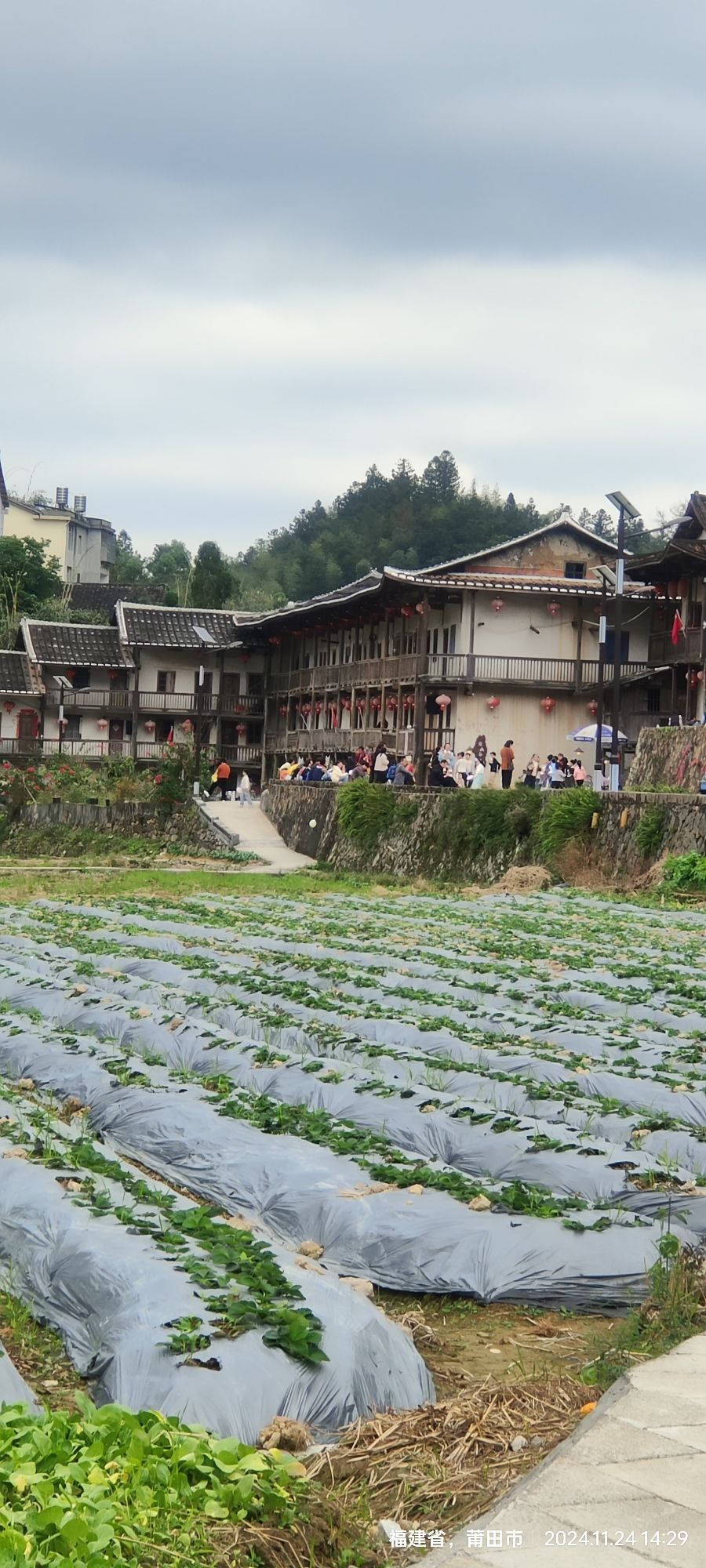 仙游天马风景区旅行图片 1
