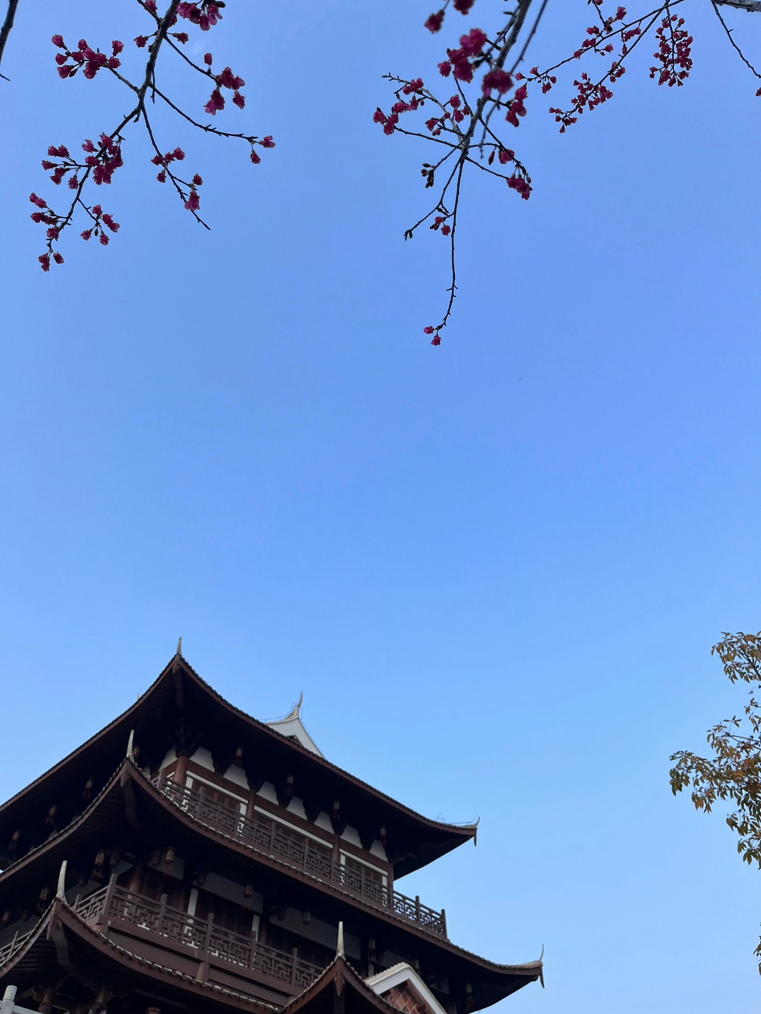 绶溪公园旅行图片 2
