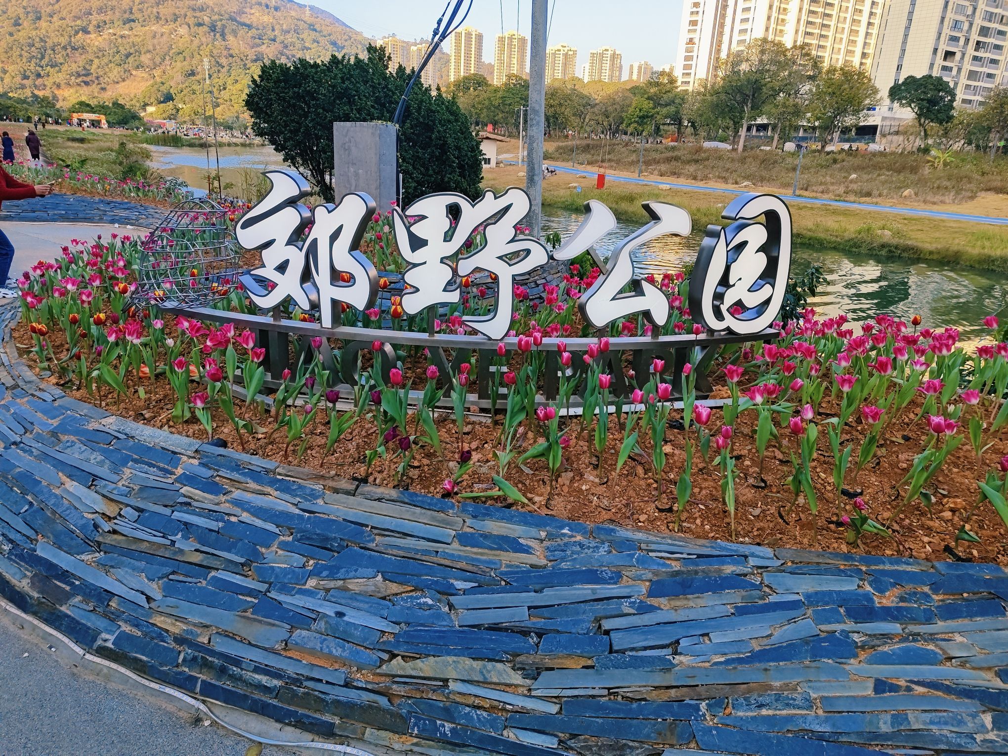 绶溪公园旅行图片