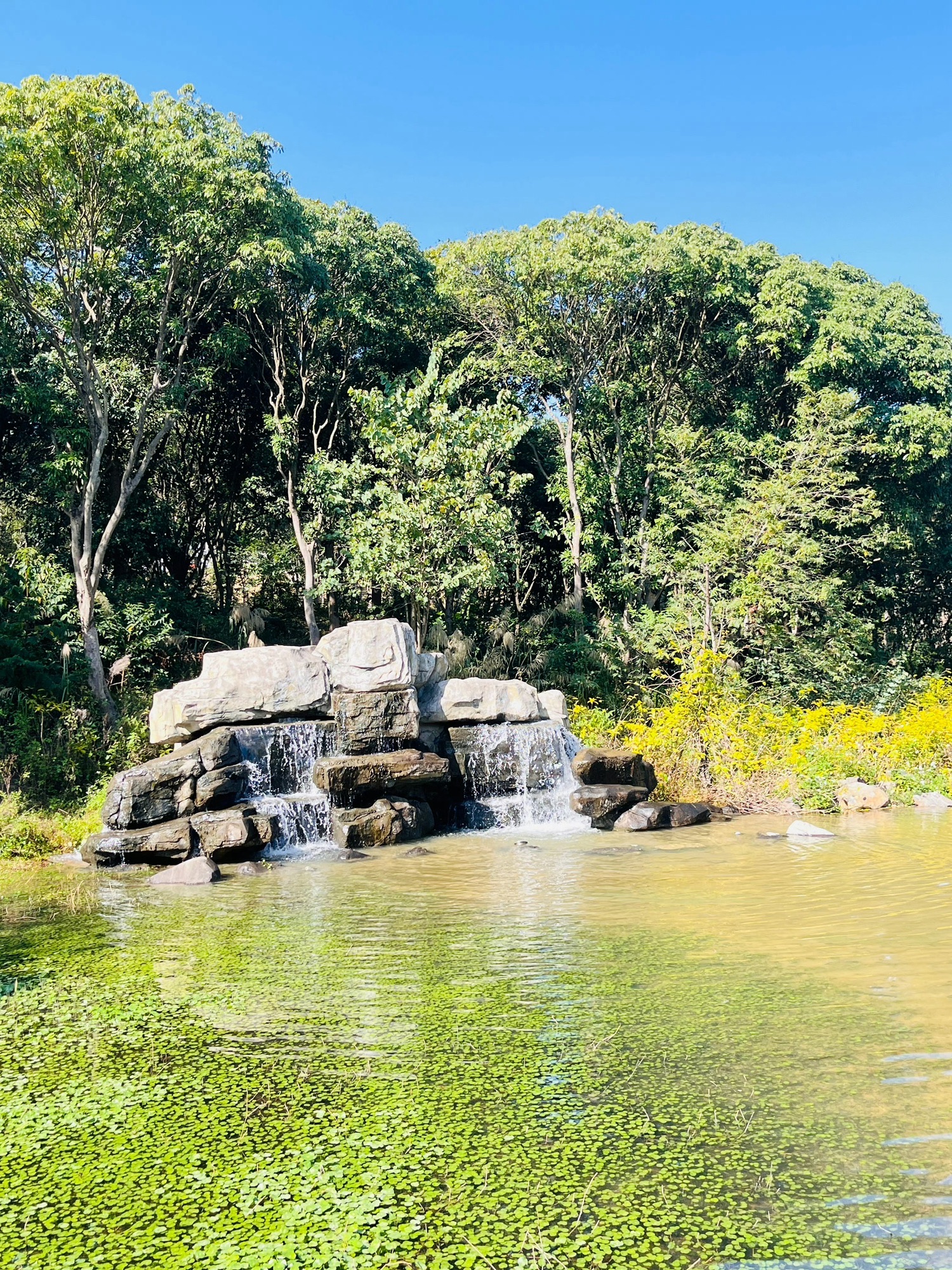 绶溪公园旅行图片 1