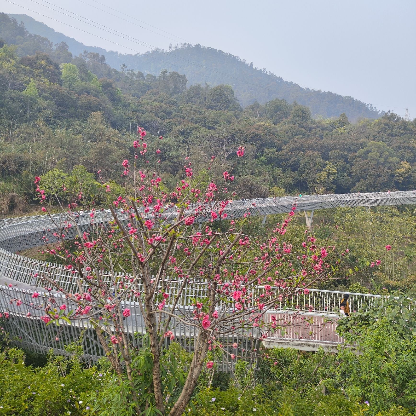 凤山风景旅游区旅行图片 3