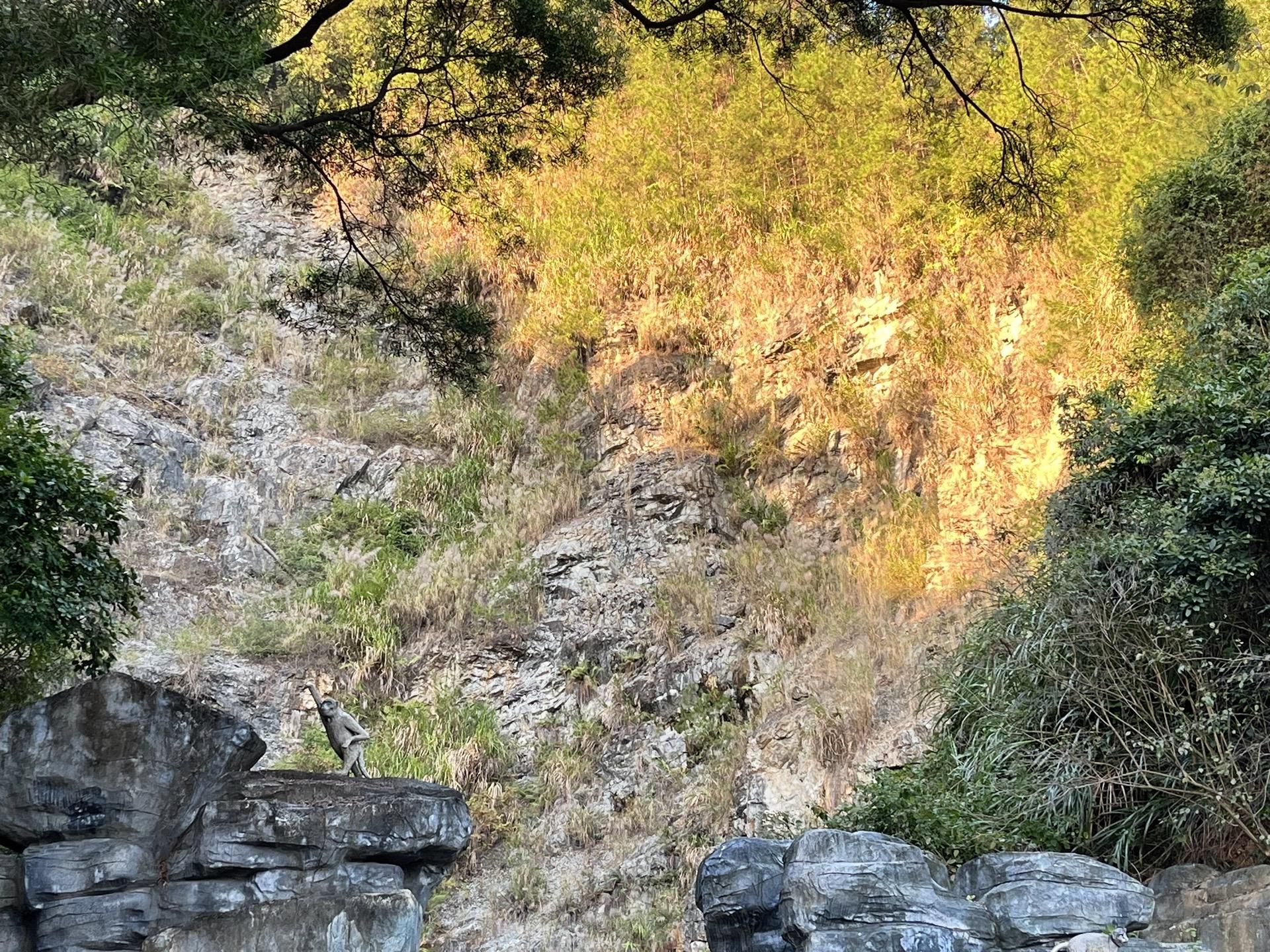 凤山风景旅游区旅行图片 3