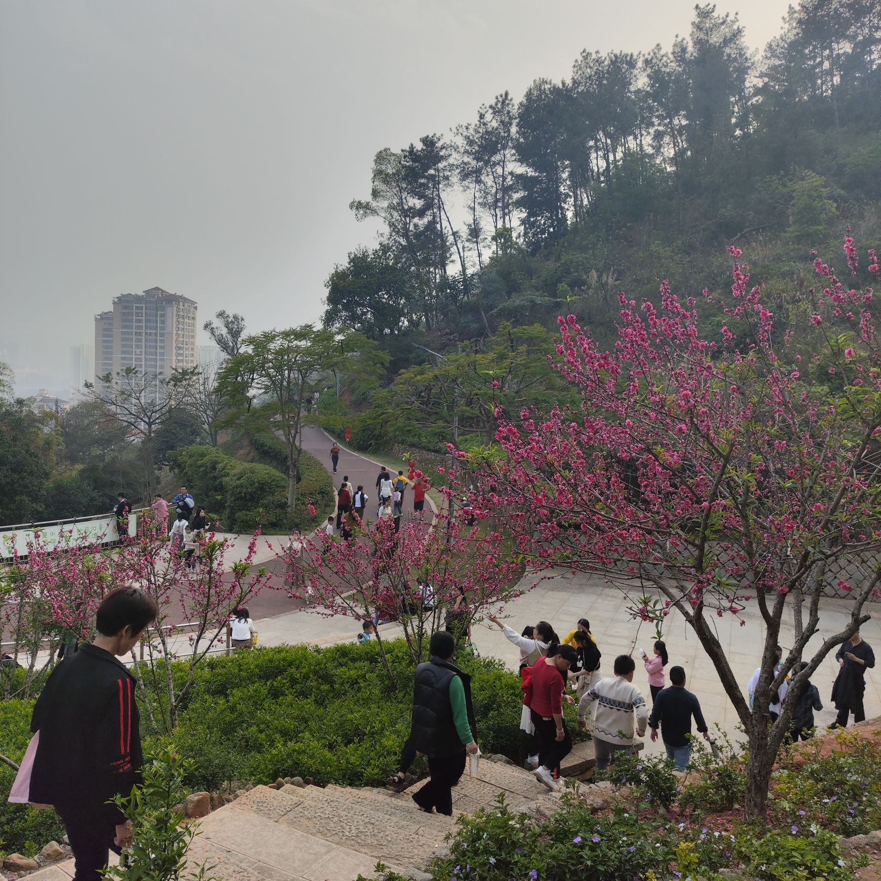 凤山风景旅游区旅行图片 1