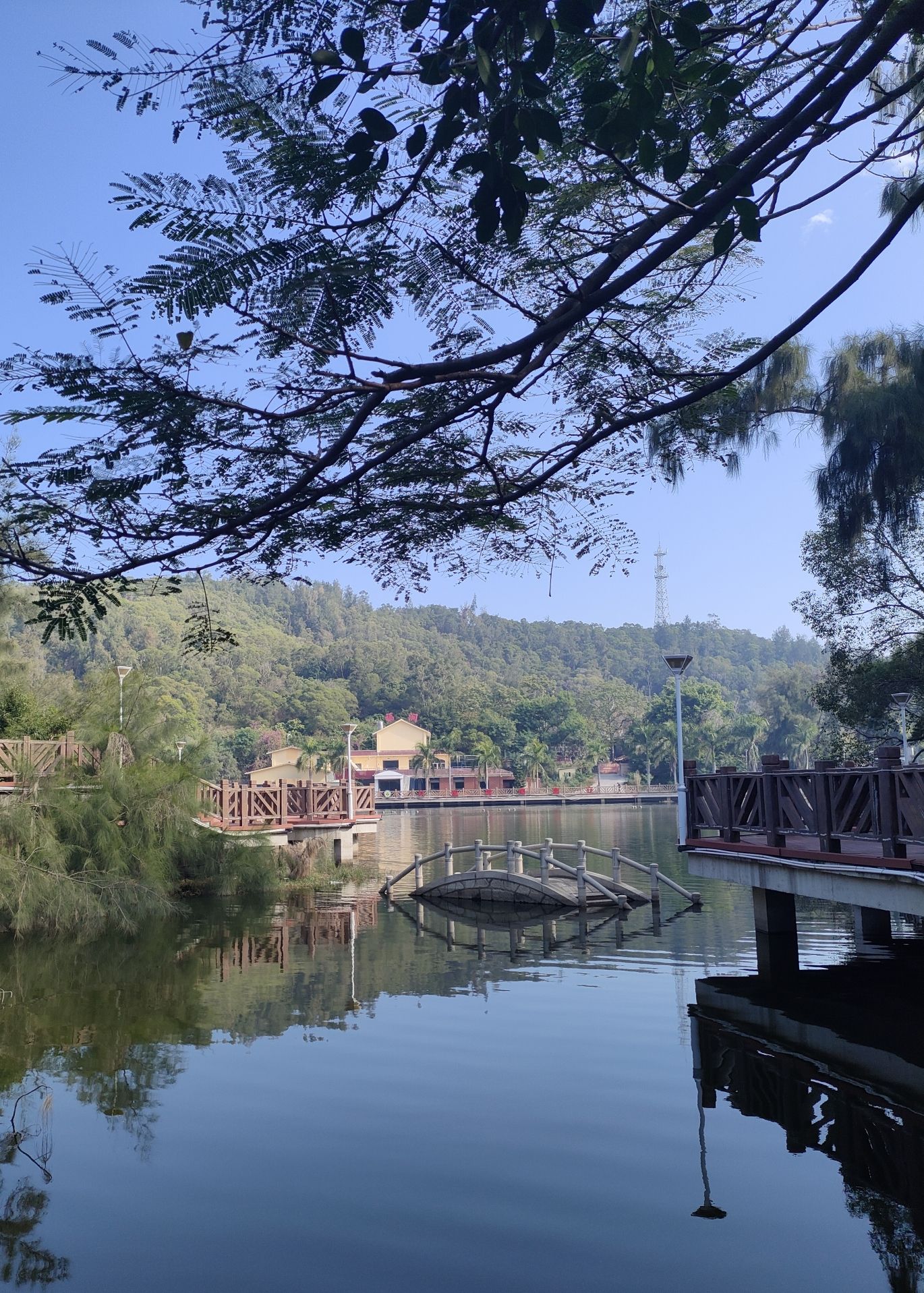 科山公园旅行图片 2