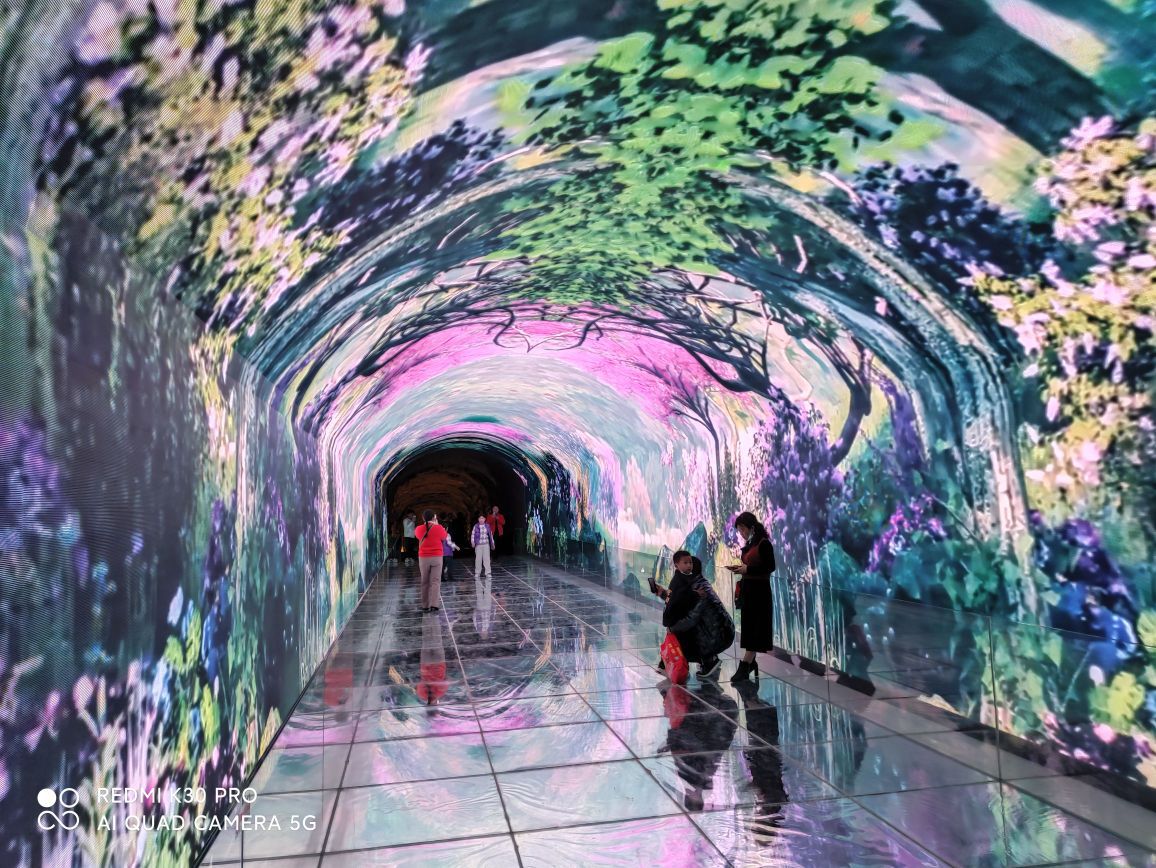 镜山书院旅行图片 1