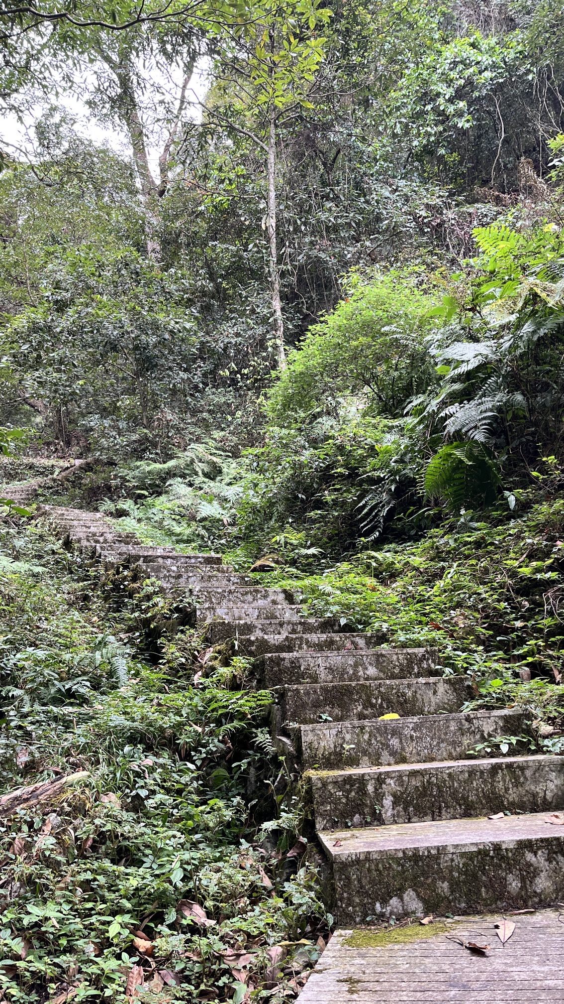 乌髻岩风景区旅行图片 1