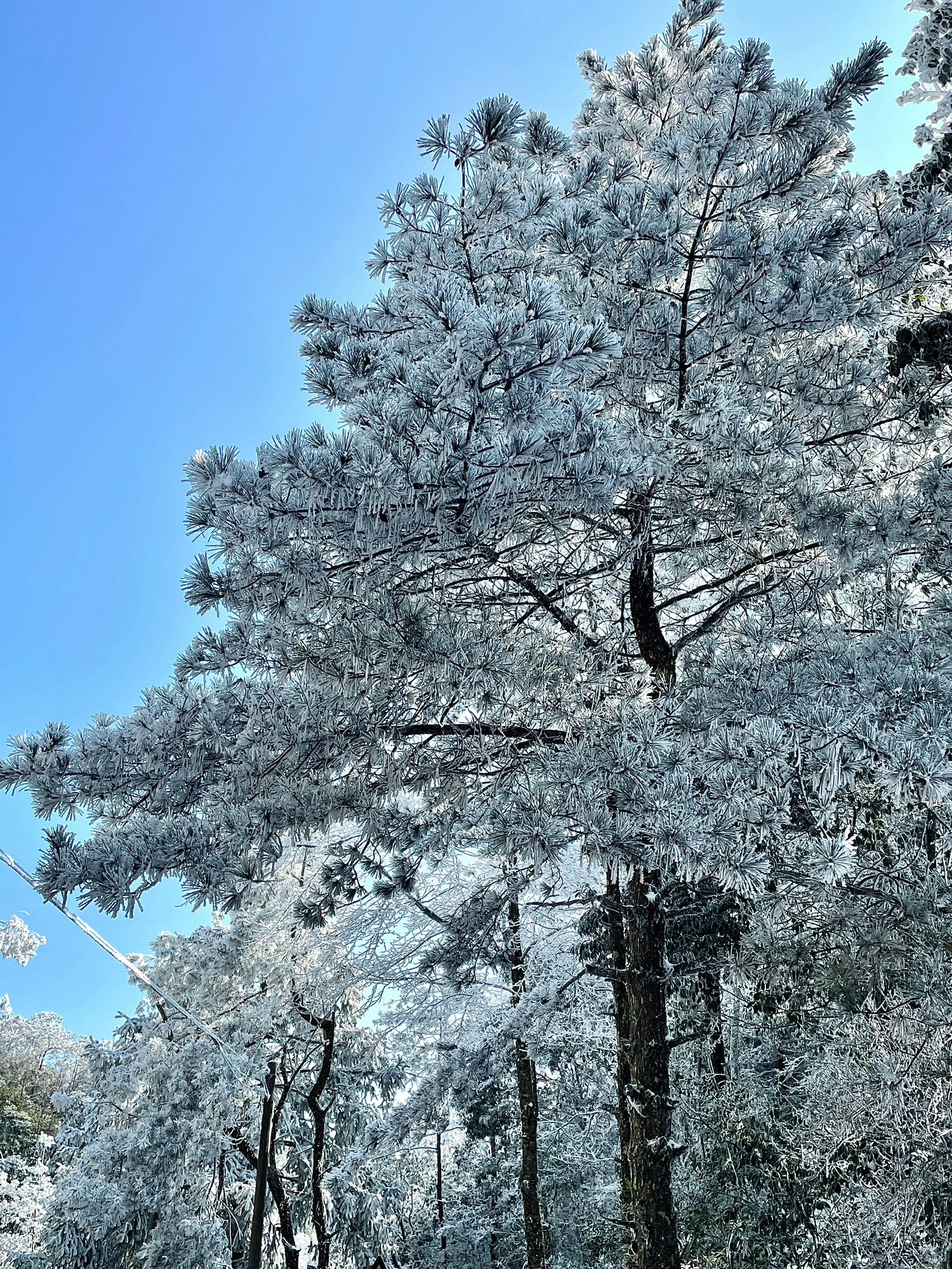 泉州德化九仙山风景区旅行图片 1