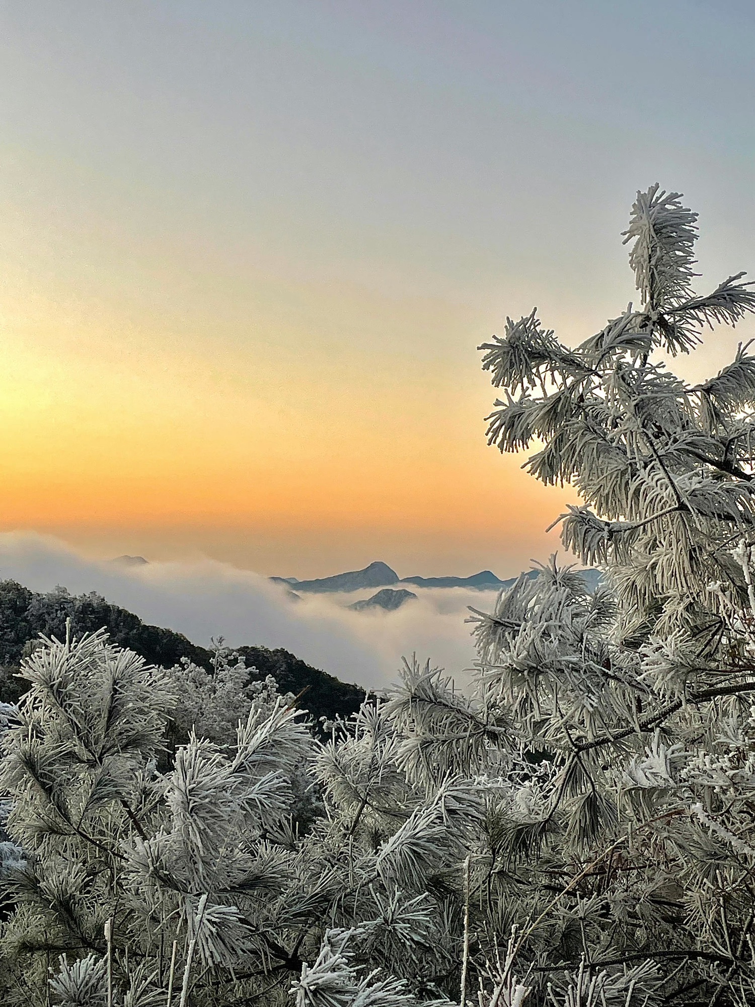 泉州德化九仙山风景区旅行图片 2