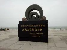 福建深沪湾海底古森林遗址旅行图片 2