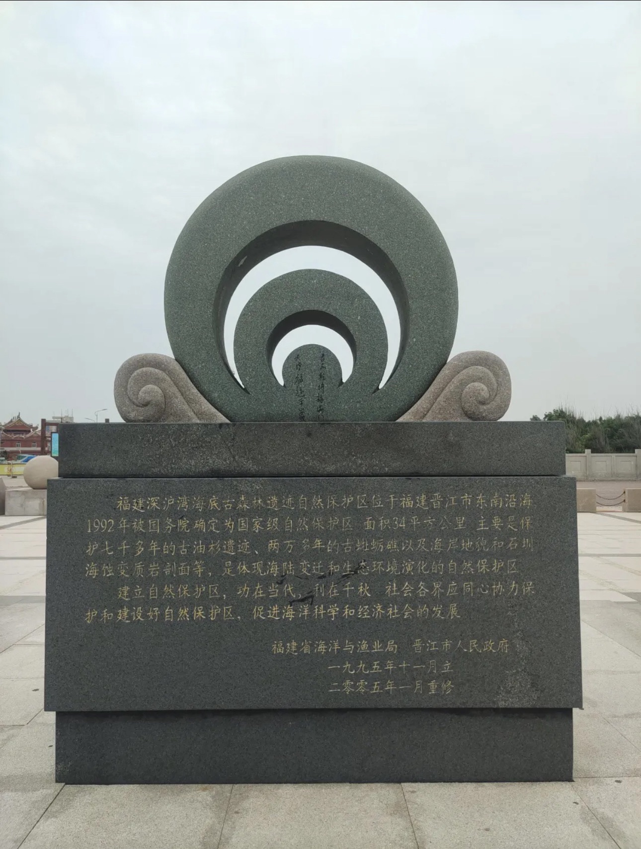 福建深沪湾海底古森林遗址旅行图片 2