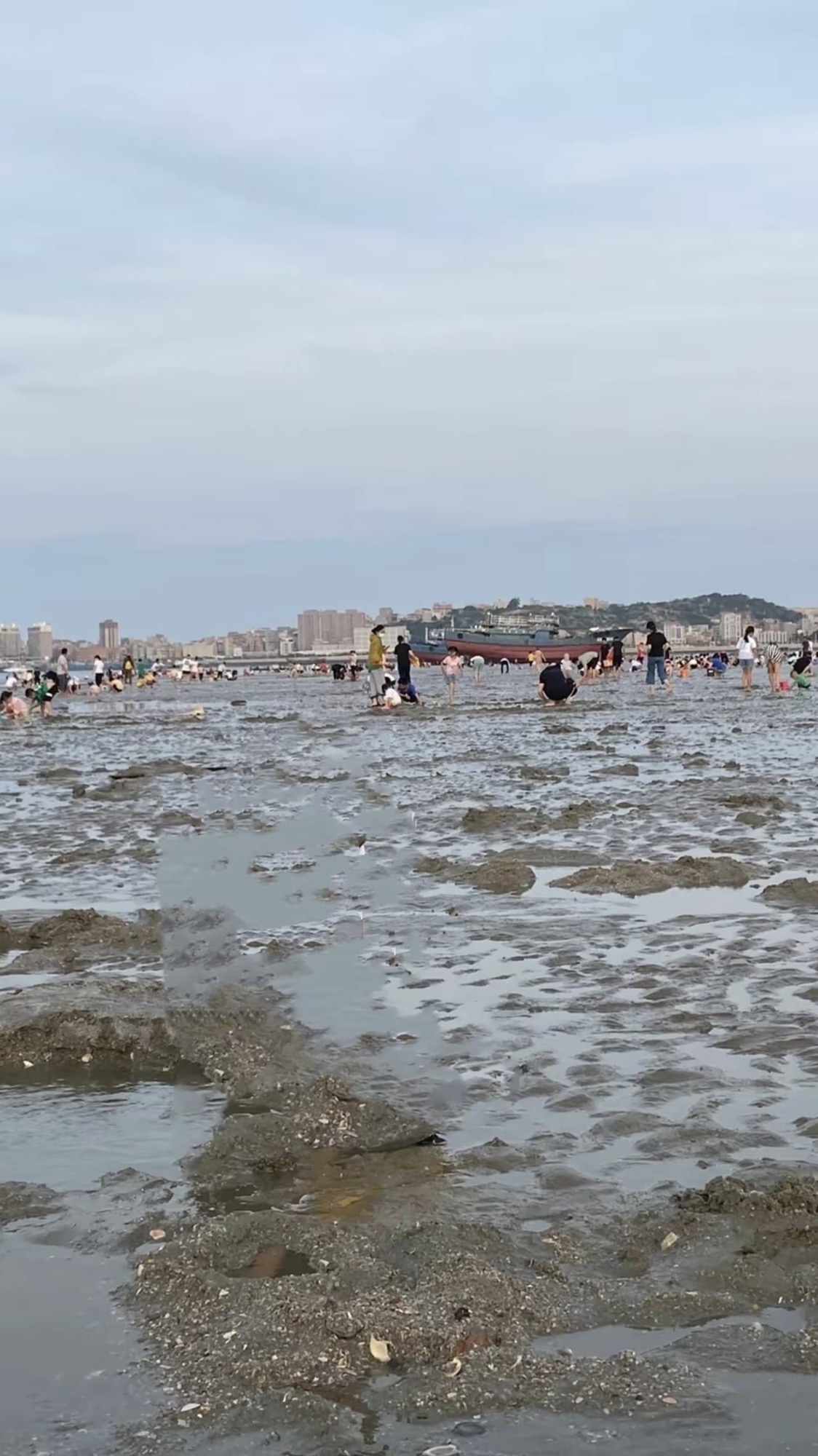 福建深沪湾海底古森林遗址旅行图片 2
