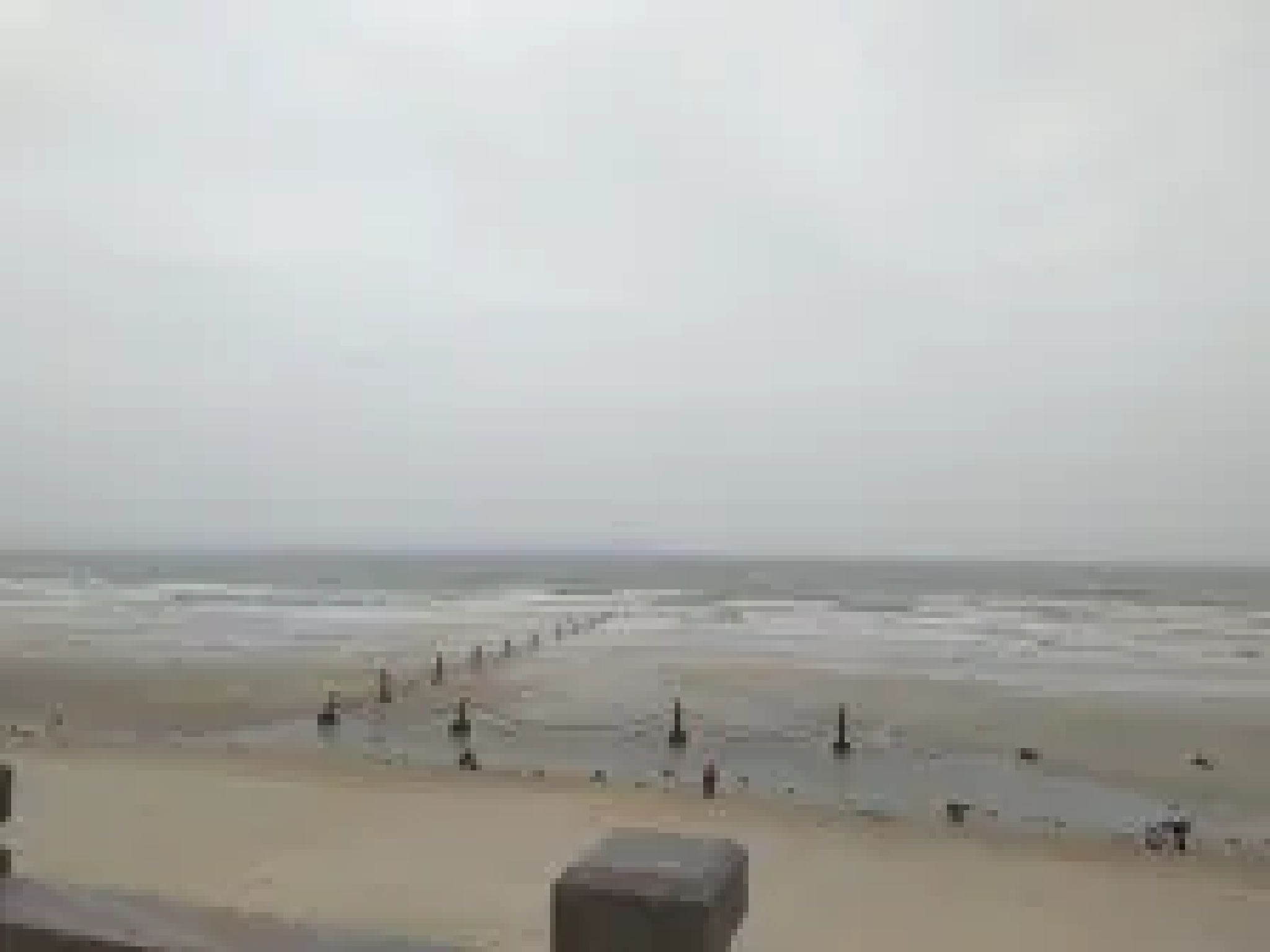 福建深沪湾海底古森林遗址旅行图片 1