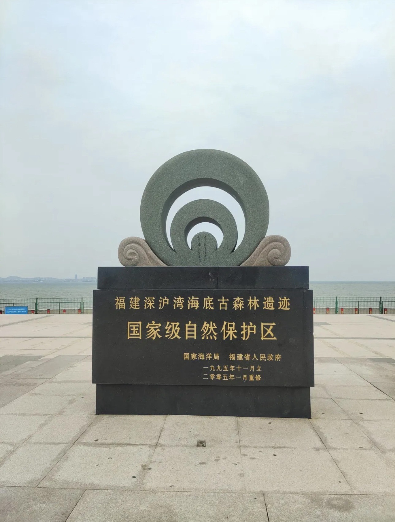 福建深沪湾海底古森林遗址旅行图片 1