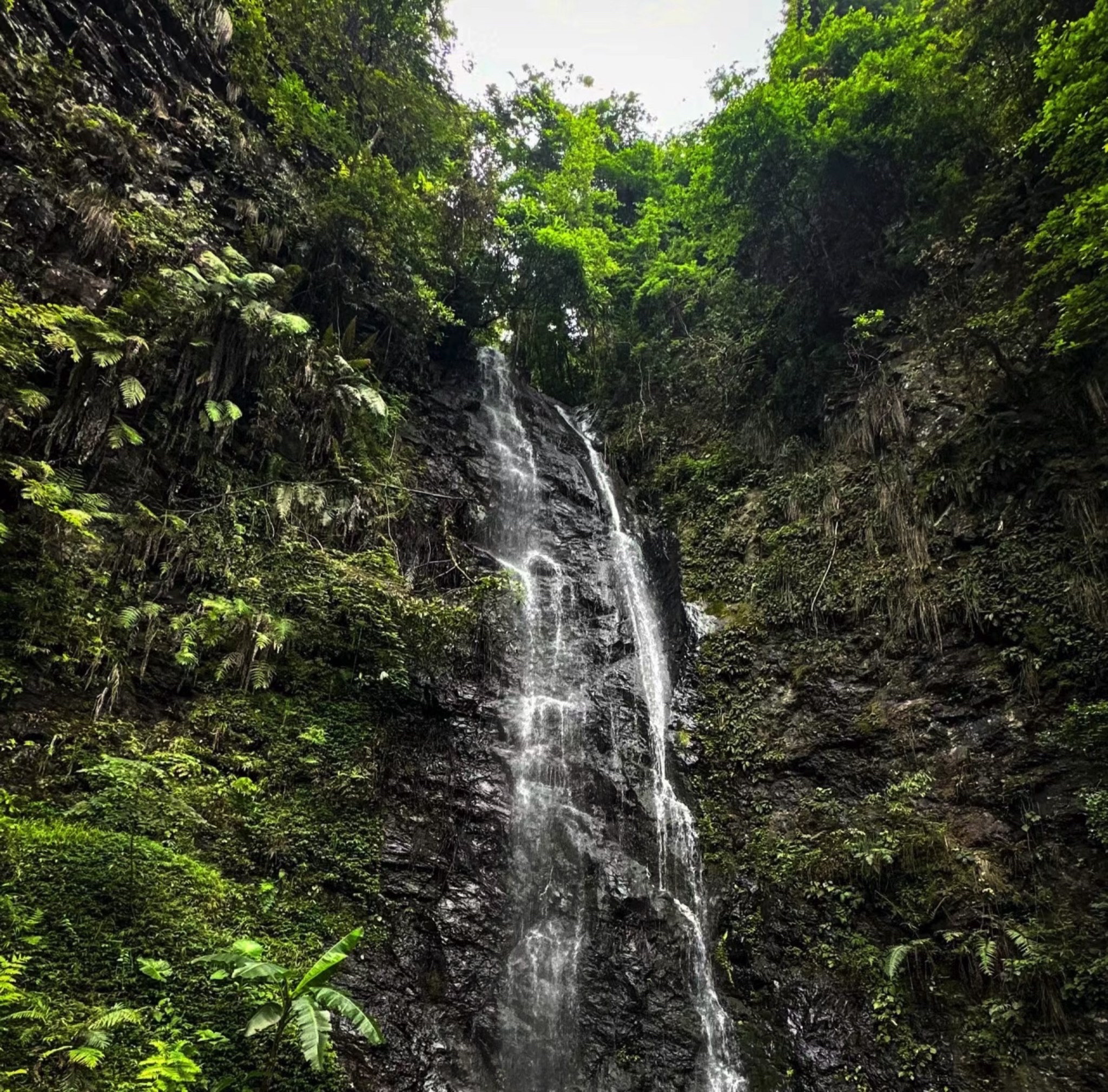 永春牛姆林生态旅游区旅行图片 1