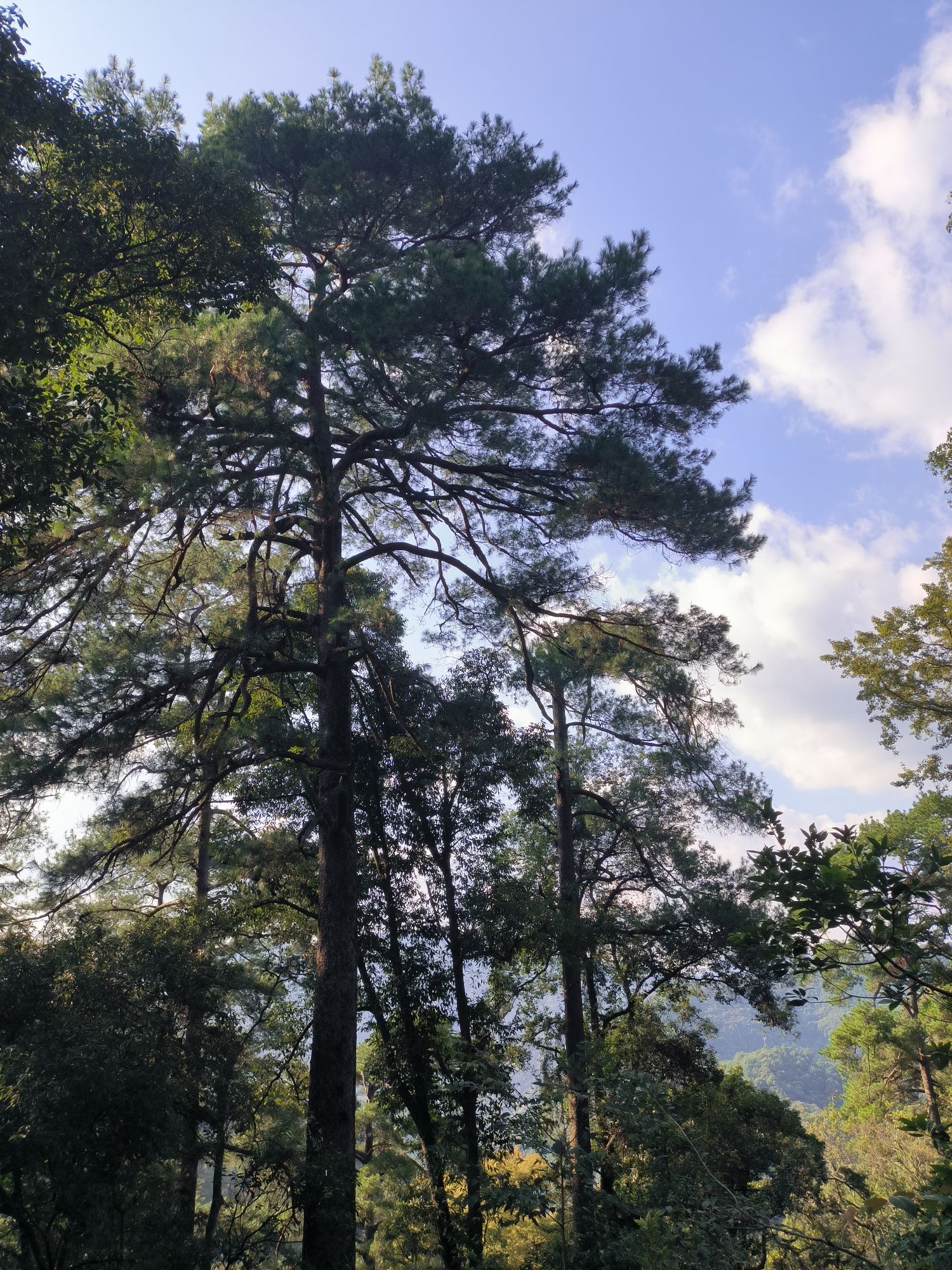 永春牛姆林生态旅游区旅行图片 2