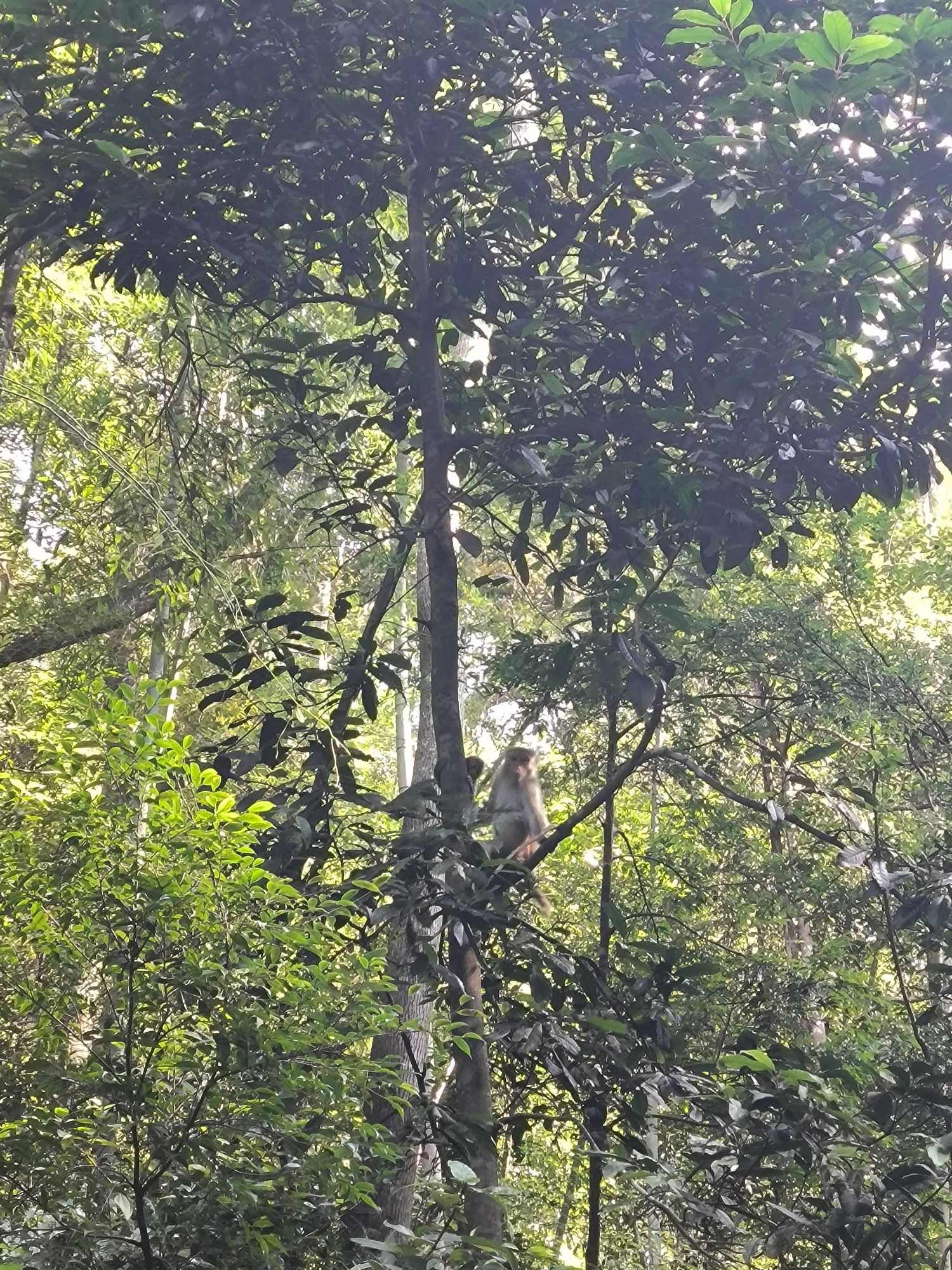 永春牛姆林生态旅游区旅行图片 1