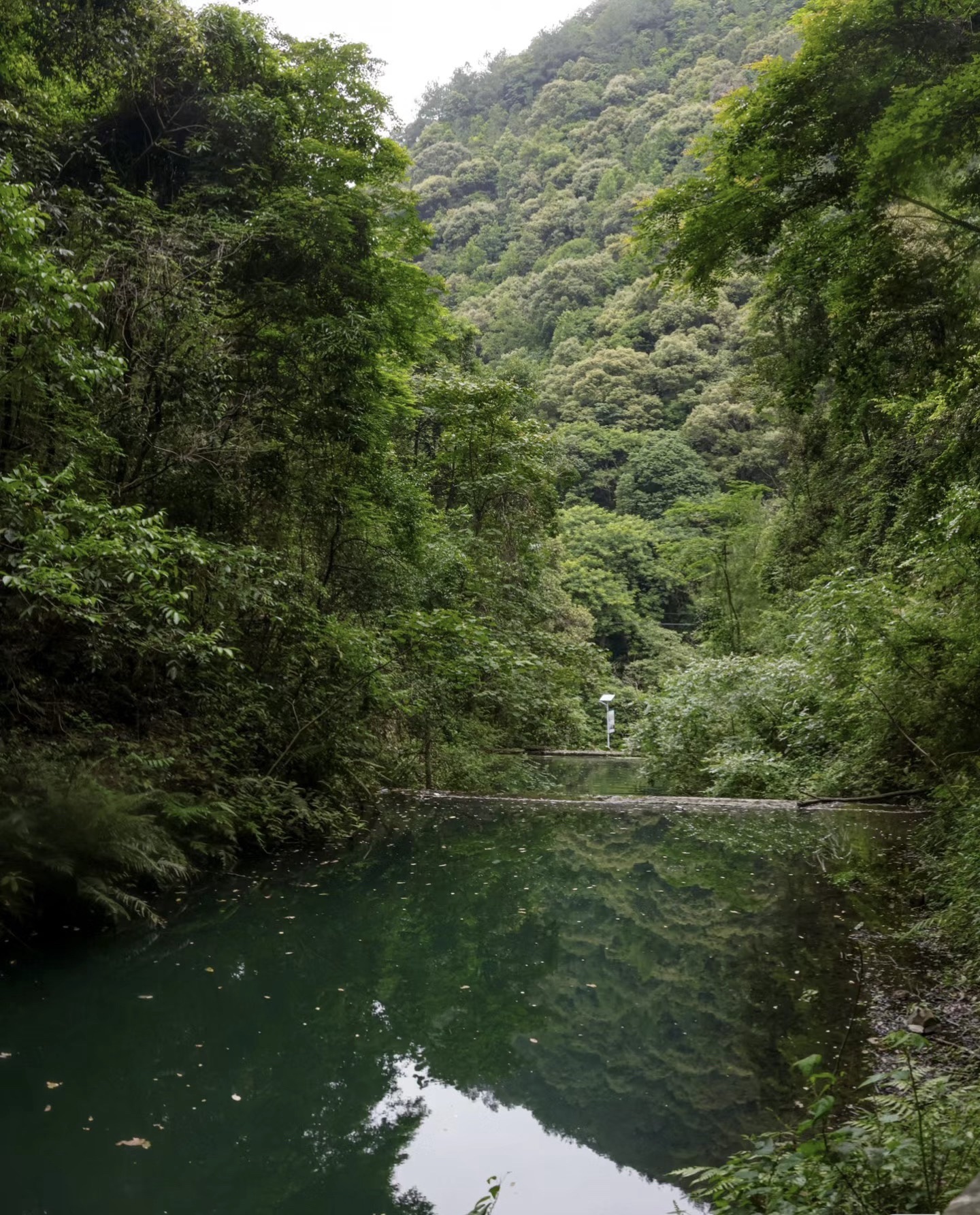永春牛姆林生态旅游区旅行图片 3