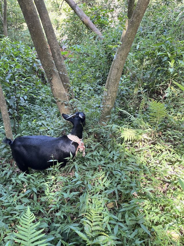 清源山国家重点风景名胜区旅行图片 2