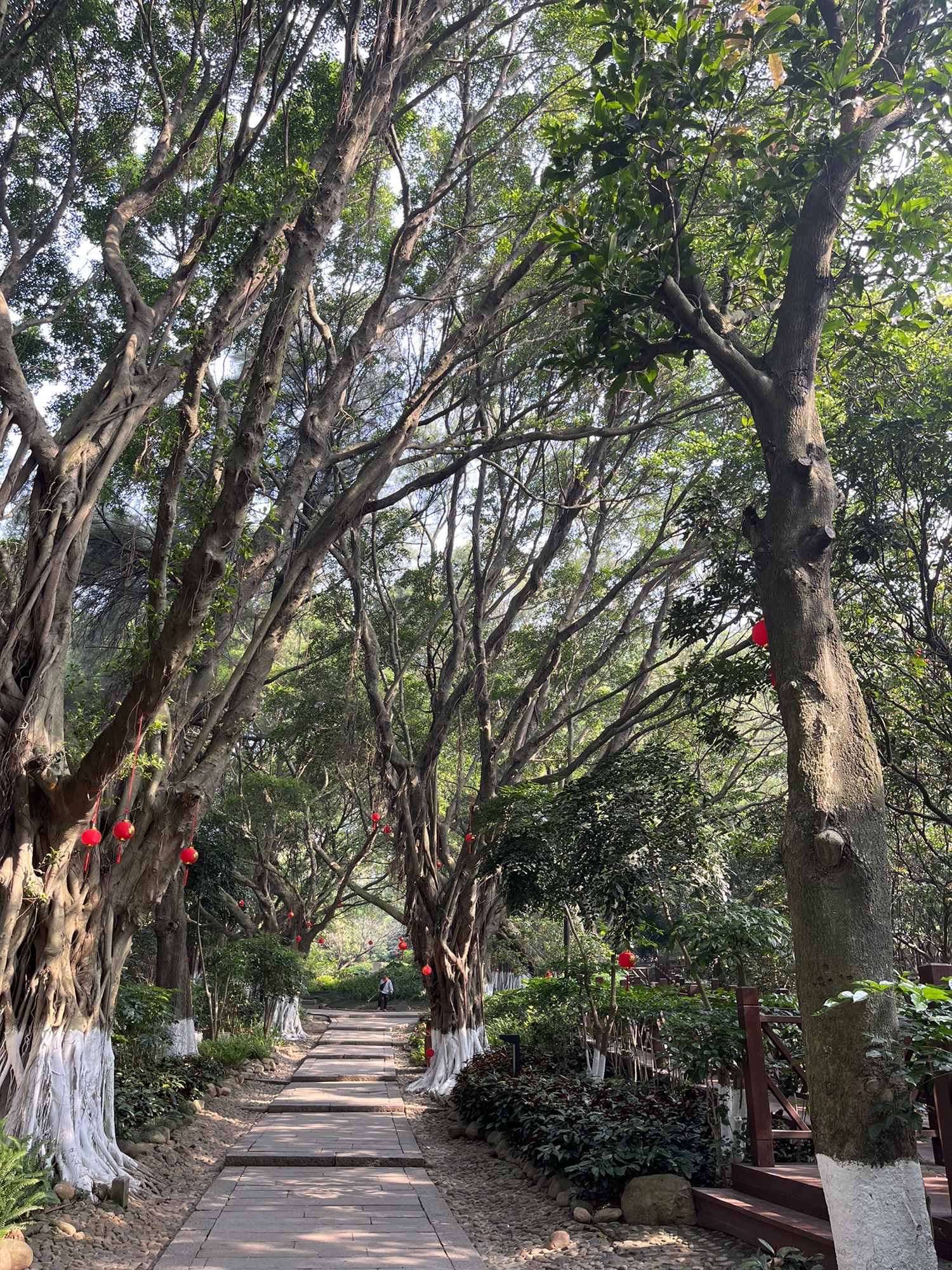 清源山国家重点风景名胜区旅行图片 1