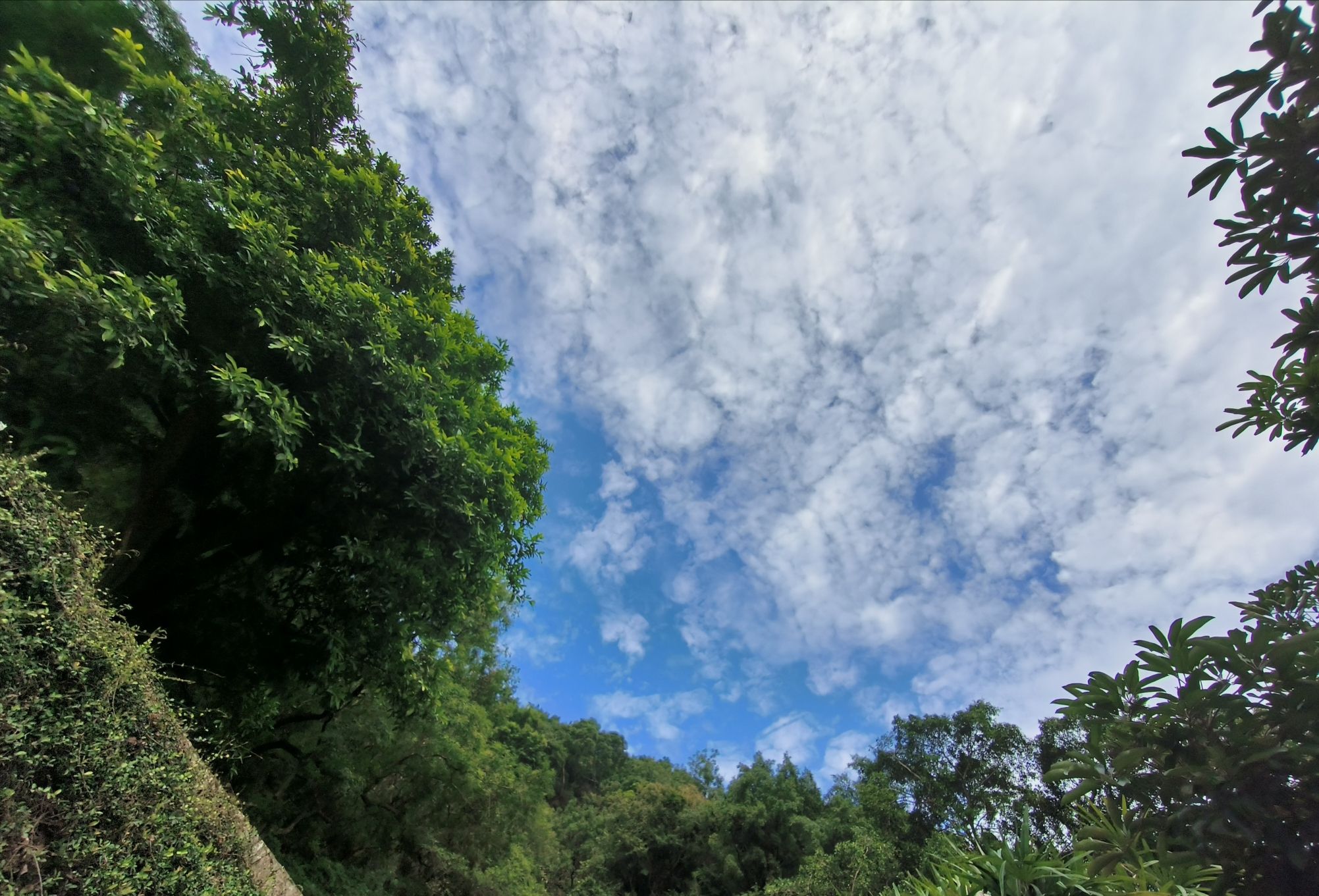 清源山国家重点风景名胜区旅行图片 3