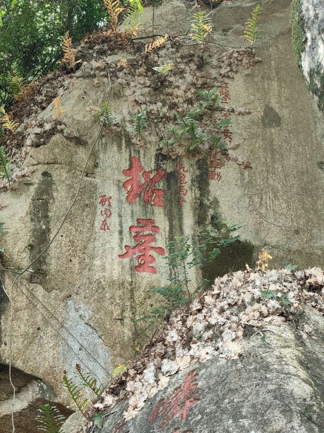 清源山国家重点风景名胜区旅行图片 1