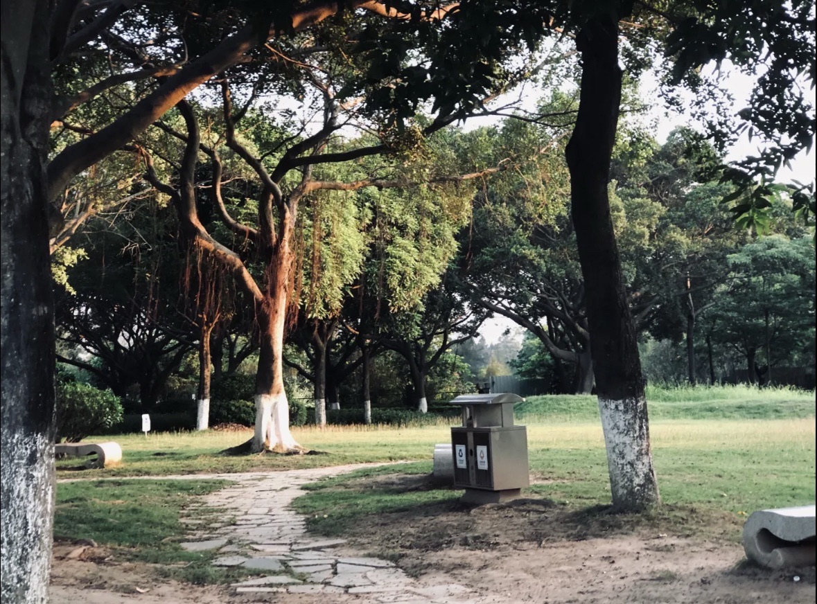 石狮柯顺公园旅行图片 3
