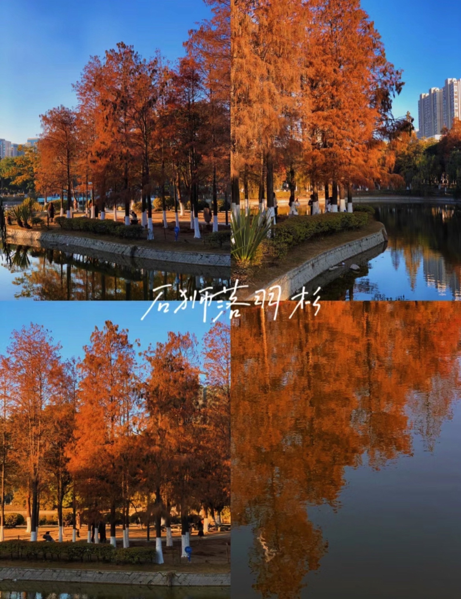 石狮龟湖公园旅行图片 1