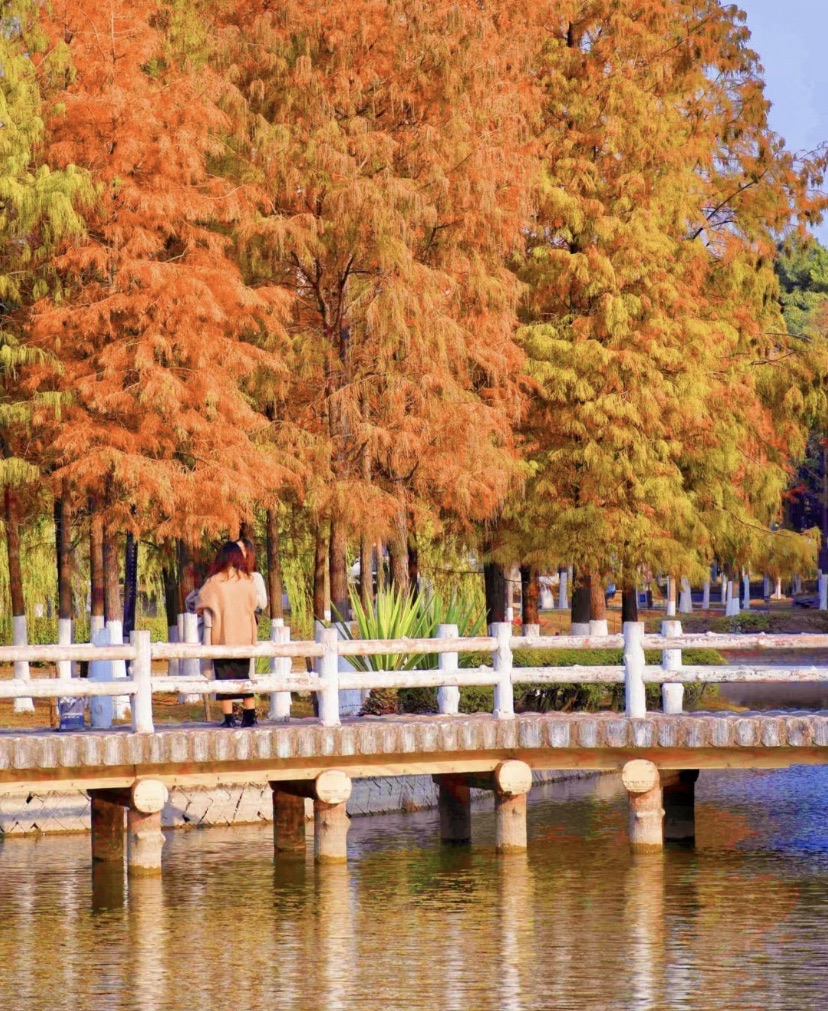 石狮龟湖公园旅行图片 3