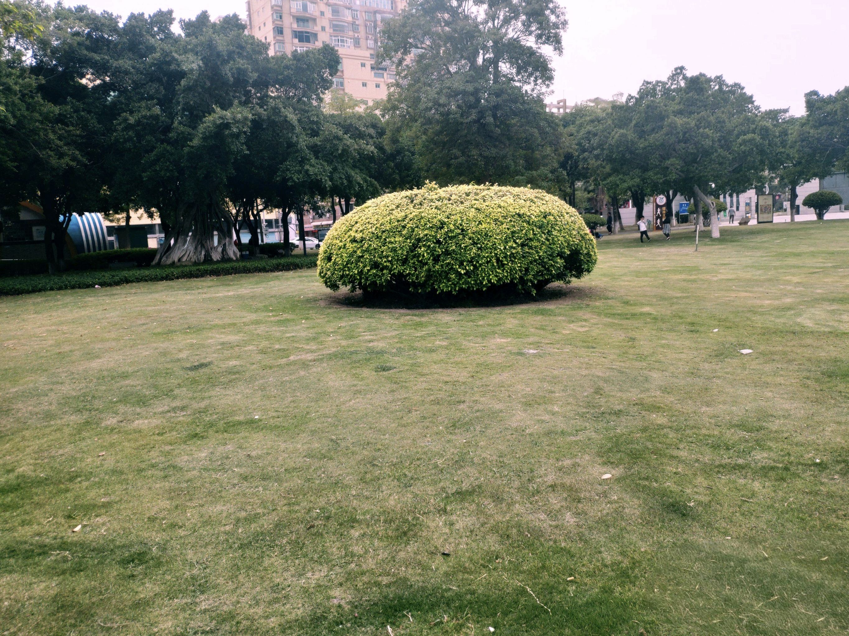 石狮龟湖公园旅行图片 2