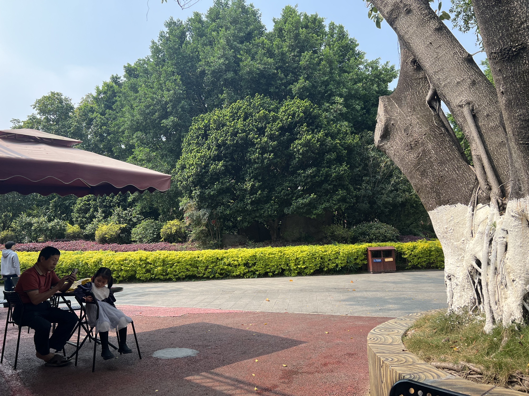 东湖公园旅行图片 3